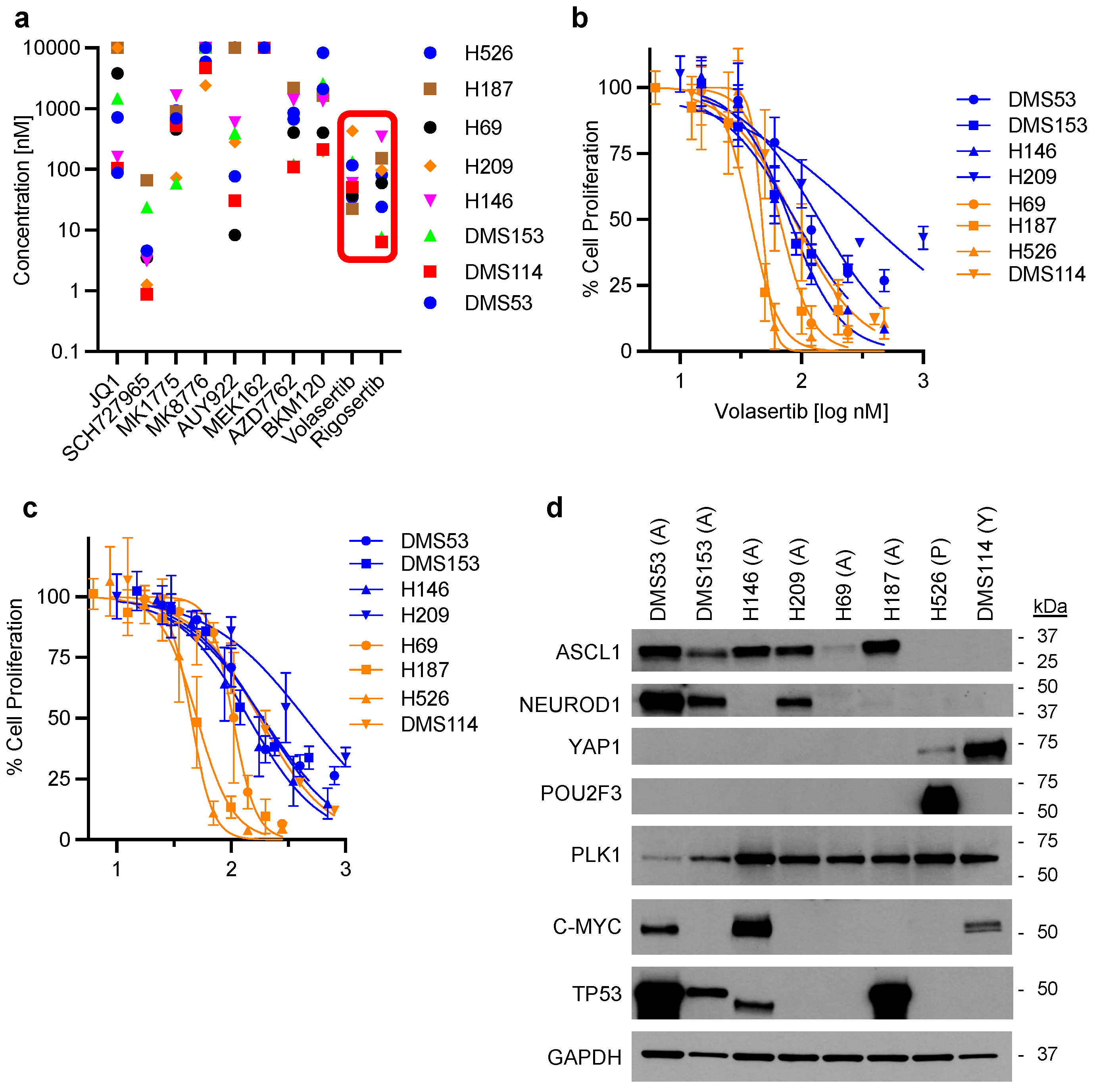 Cancers 17 00446 g001