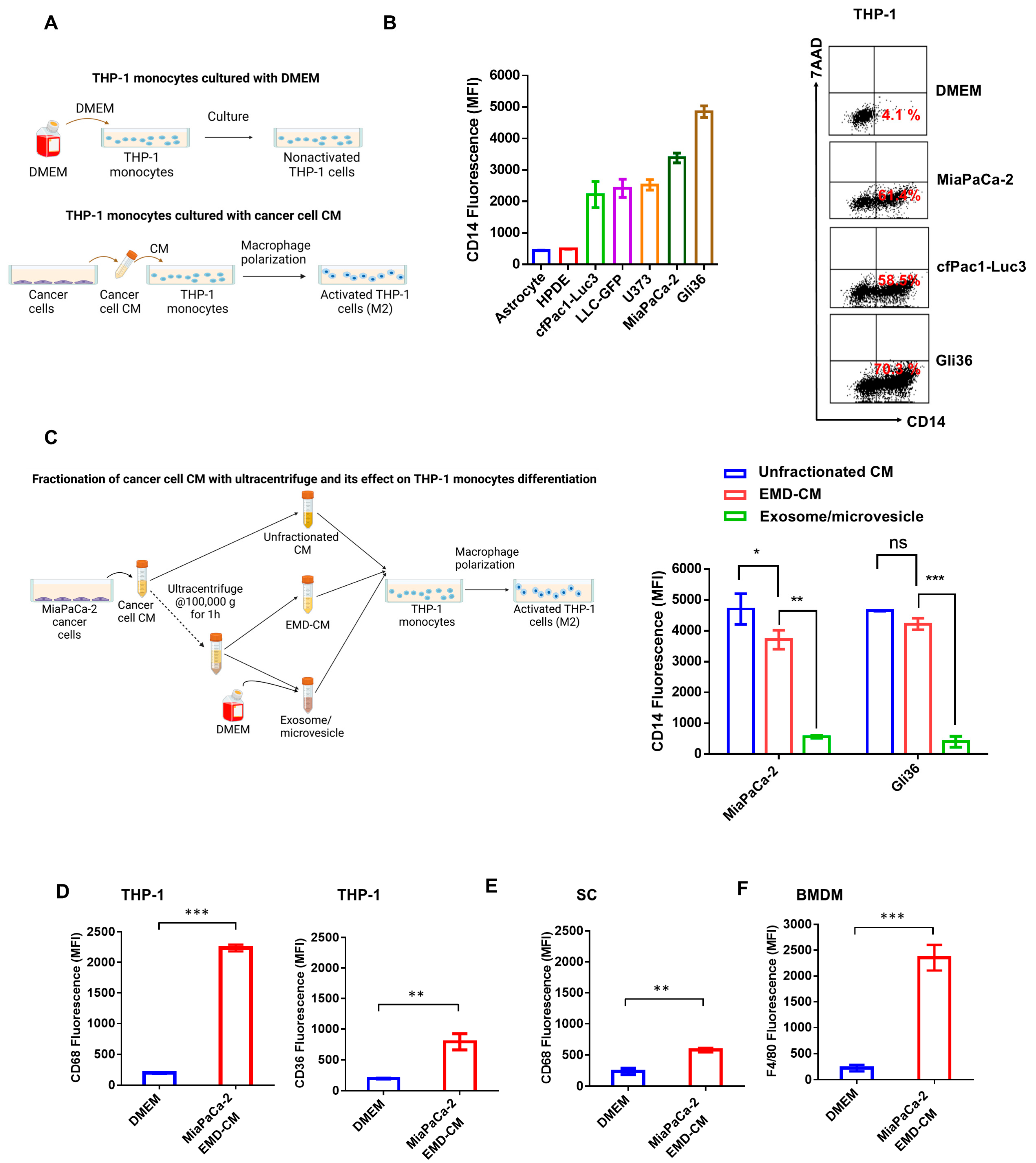 Cancers 17 00450 g001