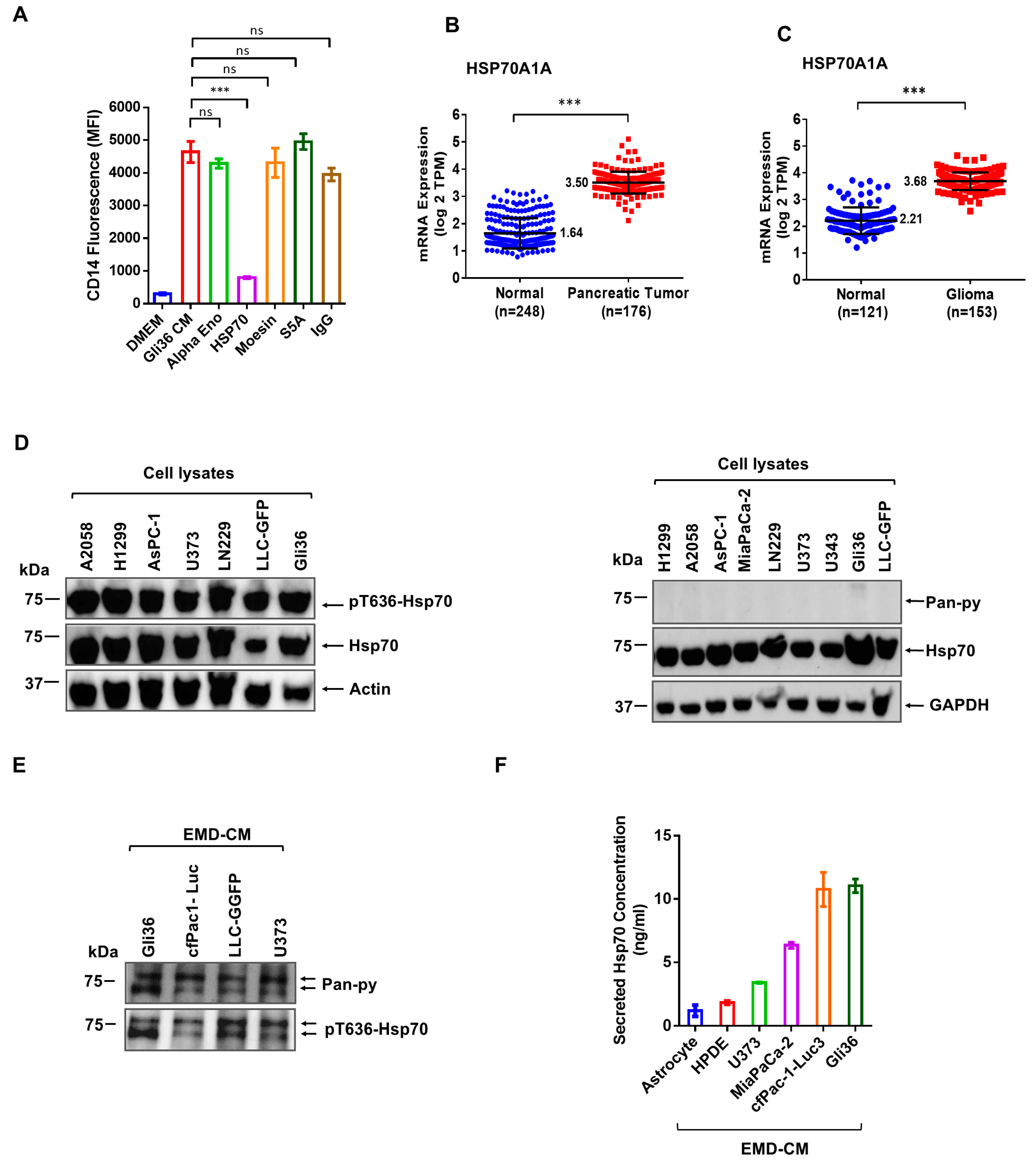 Cancers 17 00450 g002