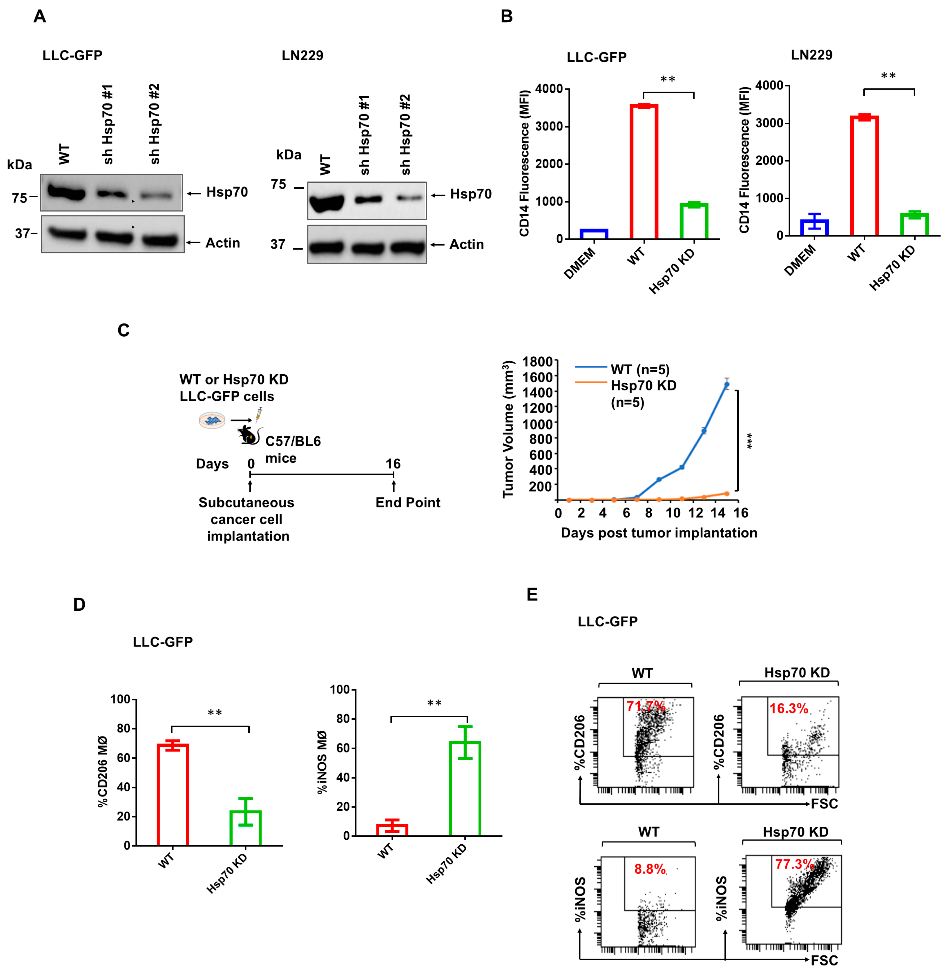 Cancers 17 00450 g003