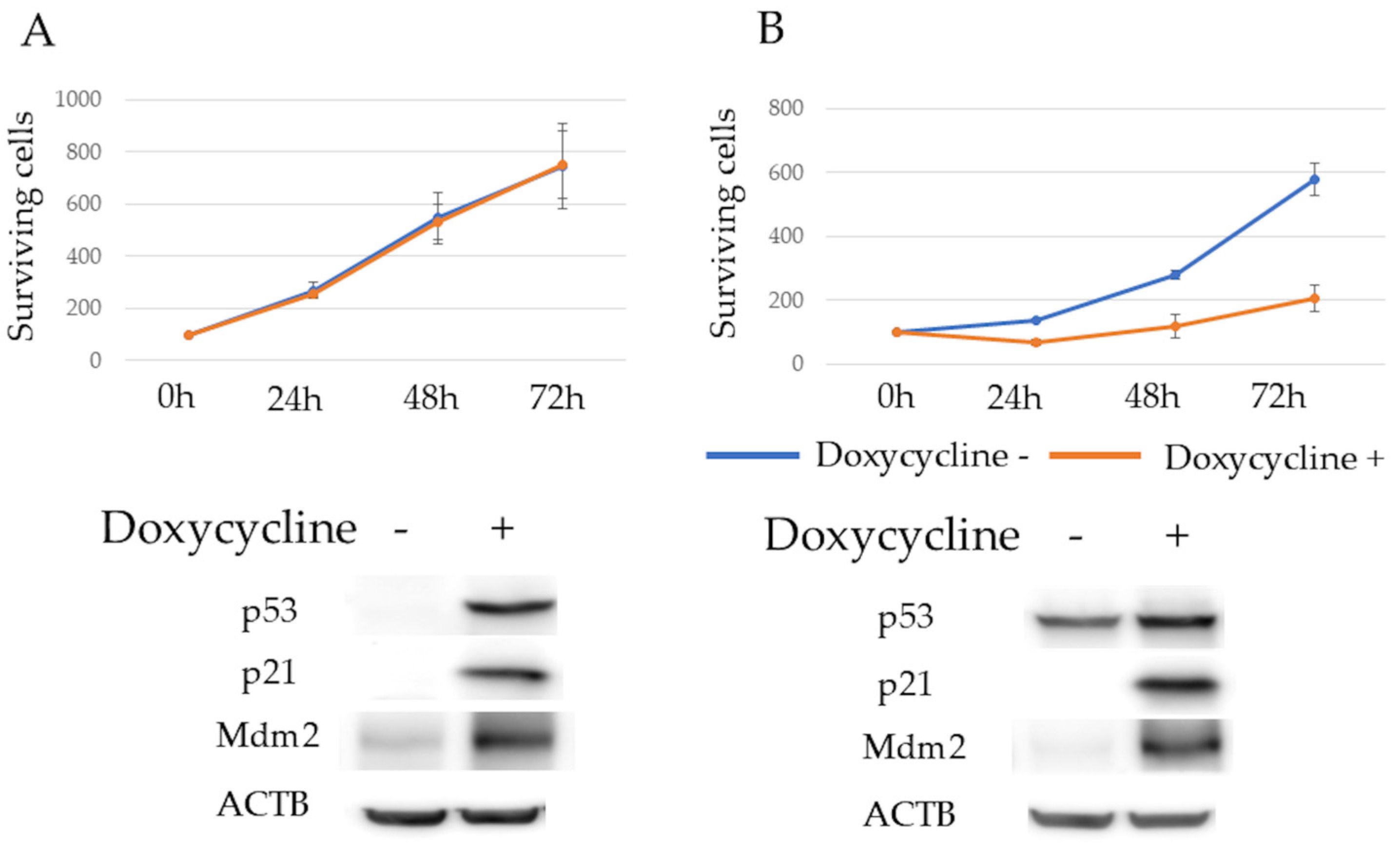 Cancers 17 00461 g001a