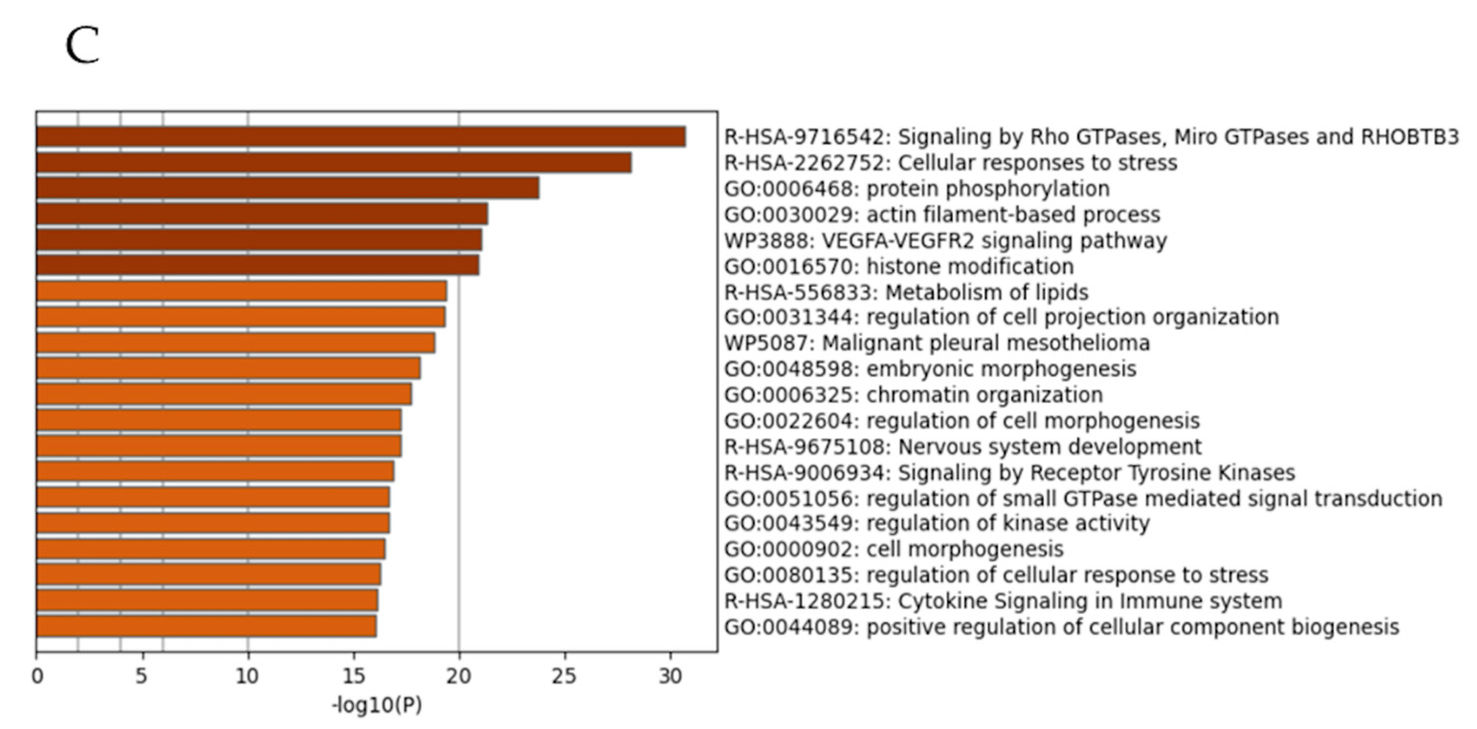 Cancers 17 00461 g001b