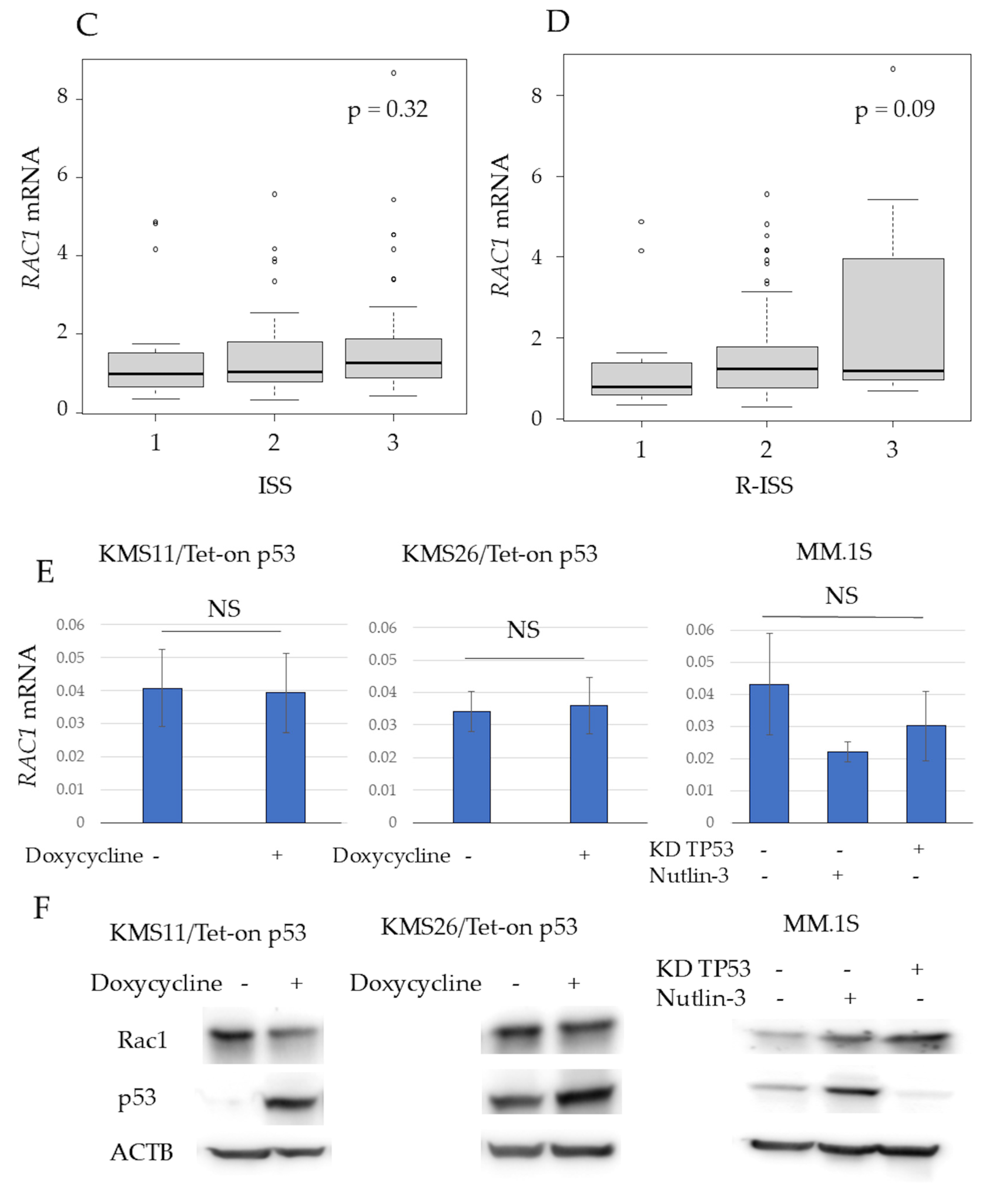 Cancers 17 00461 g002b