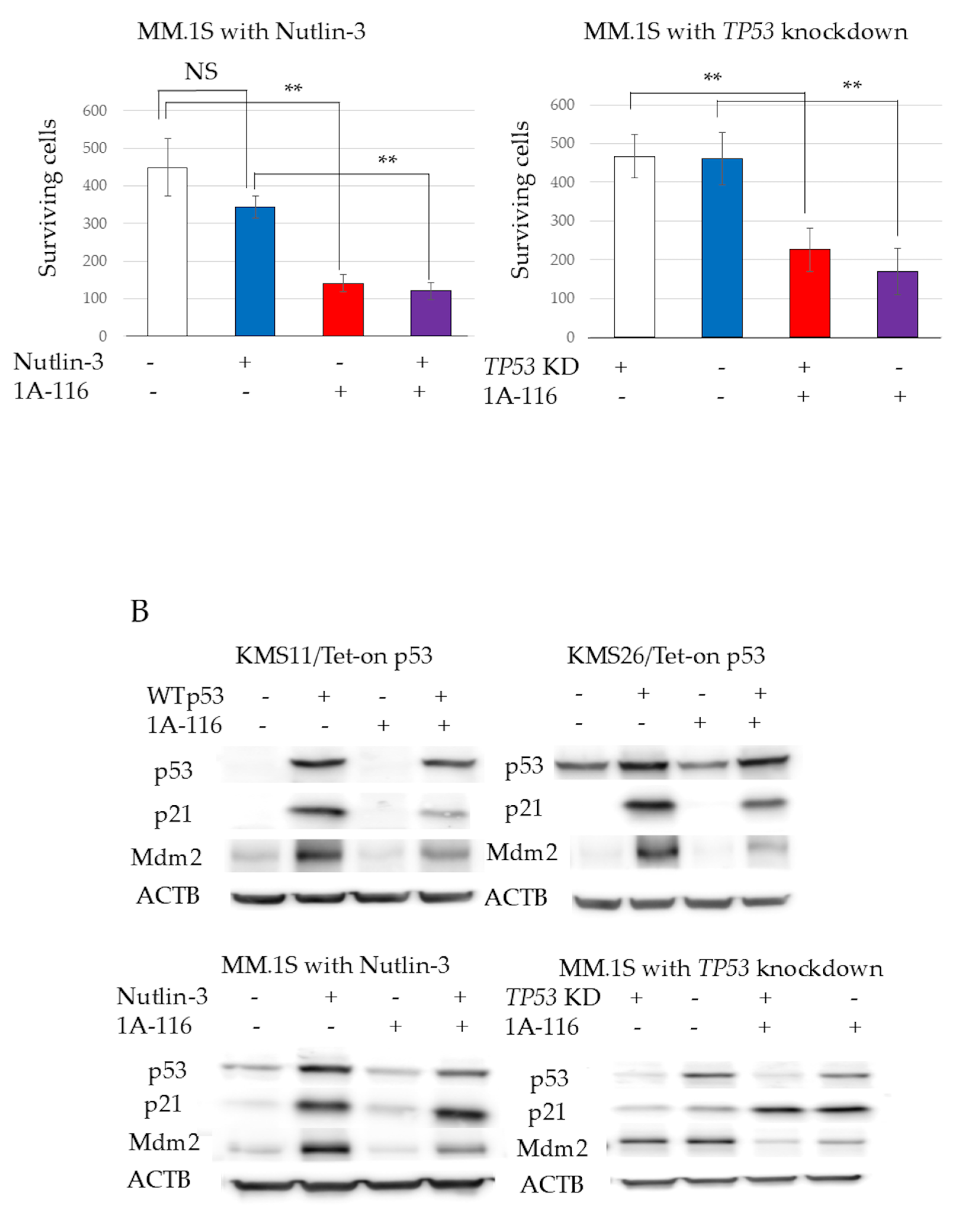 Cancers 17 00461 g003b