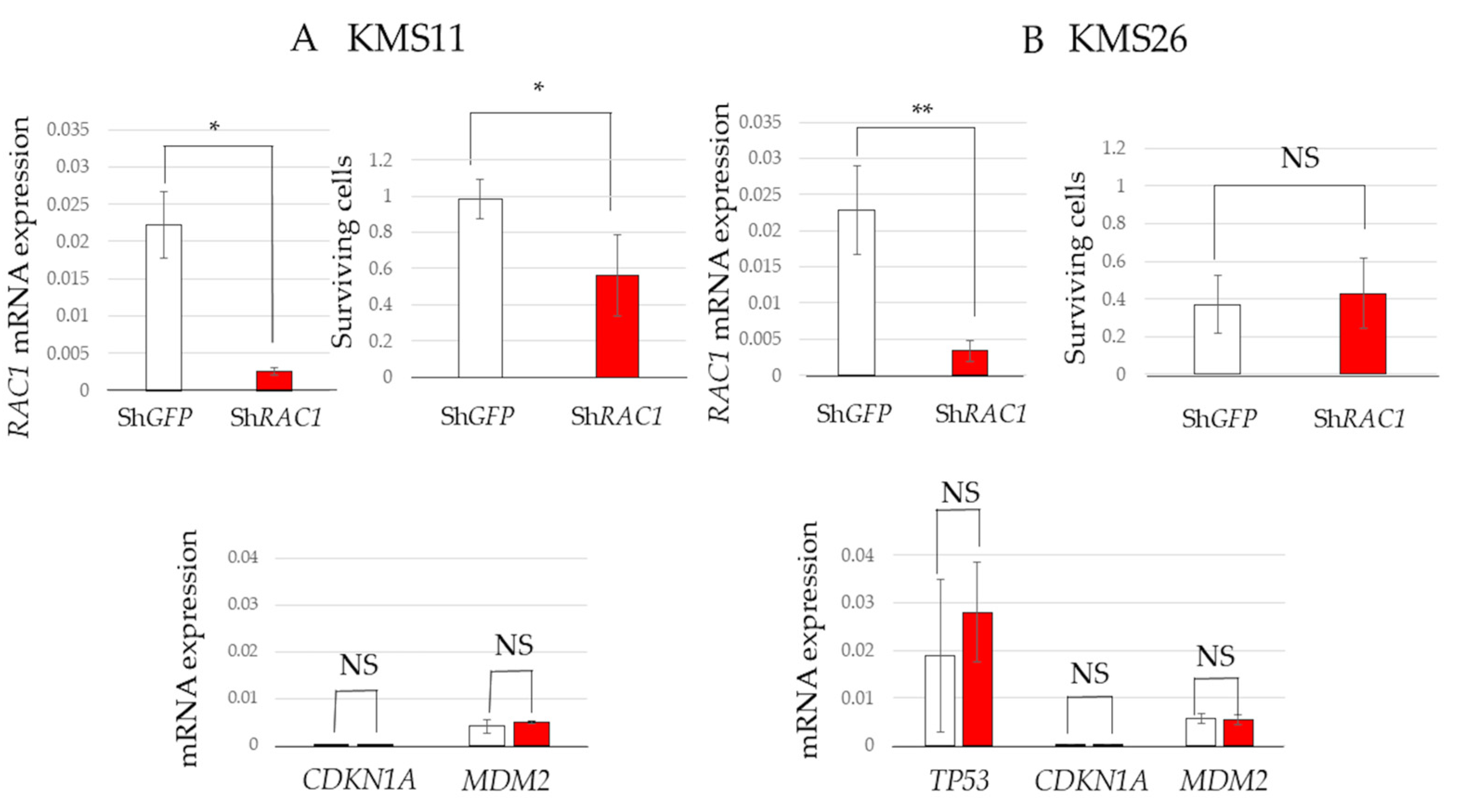 Cancers 17 00461 g004