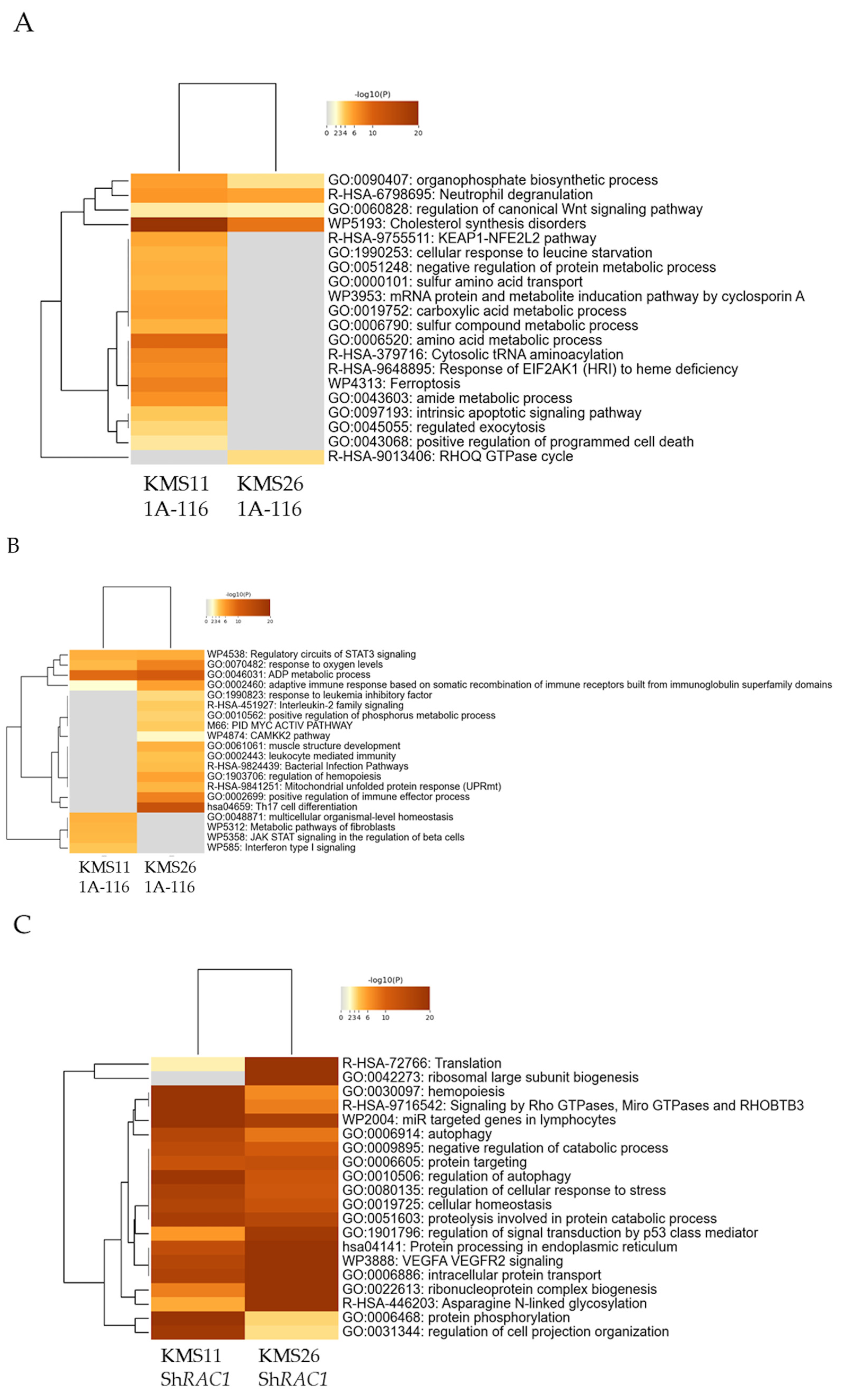 Cancers 17 00461 g006a