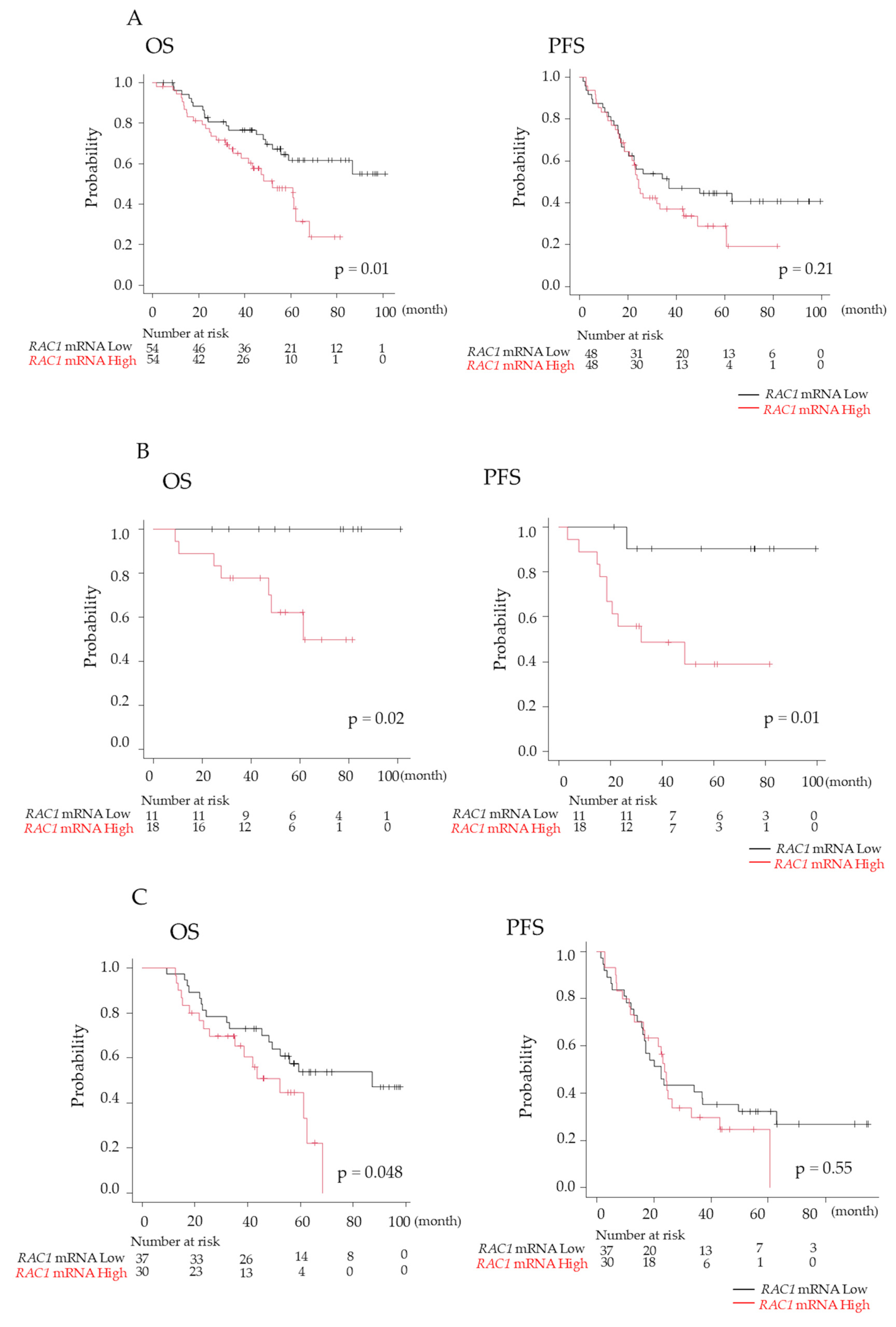 Cancers 17 00461 g007
