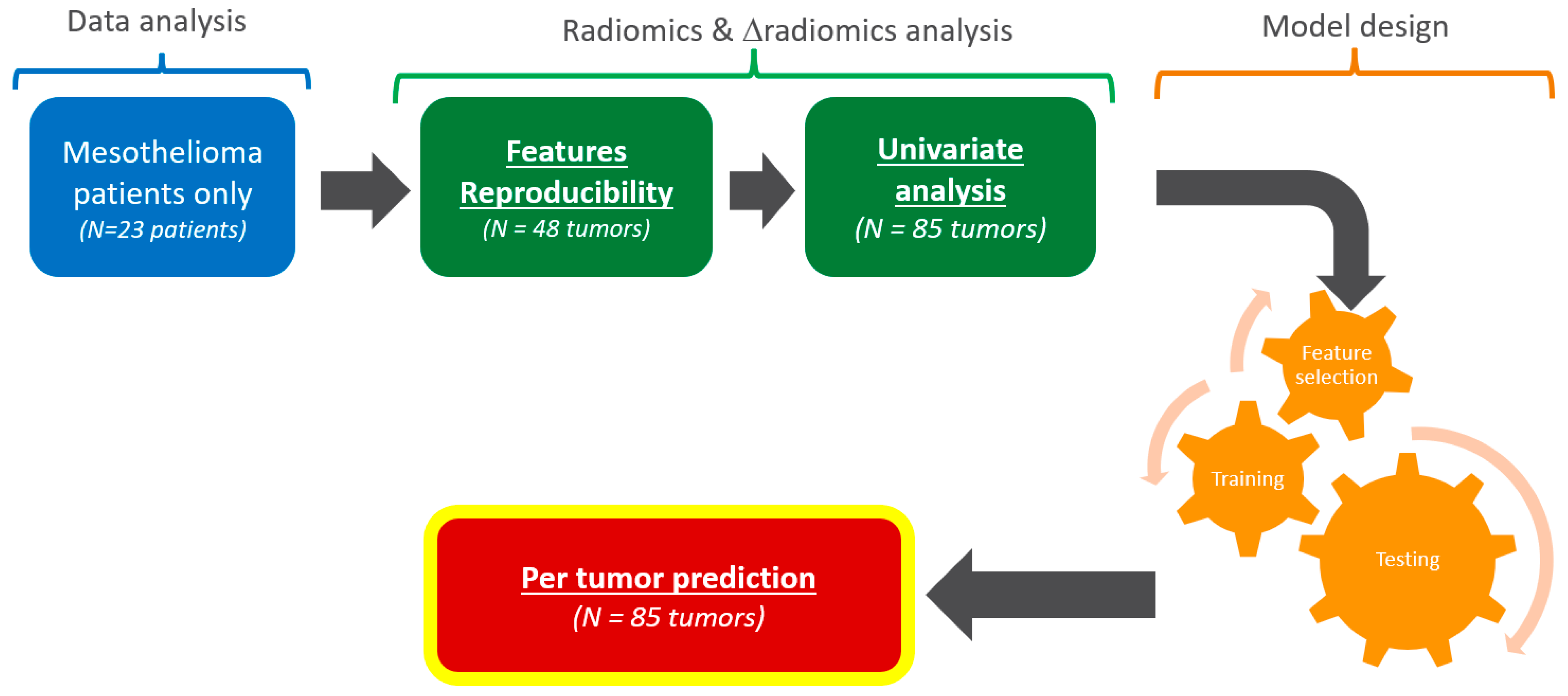 Cancers 17 00463 g001