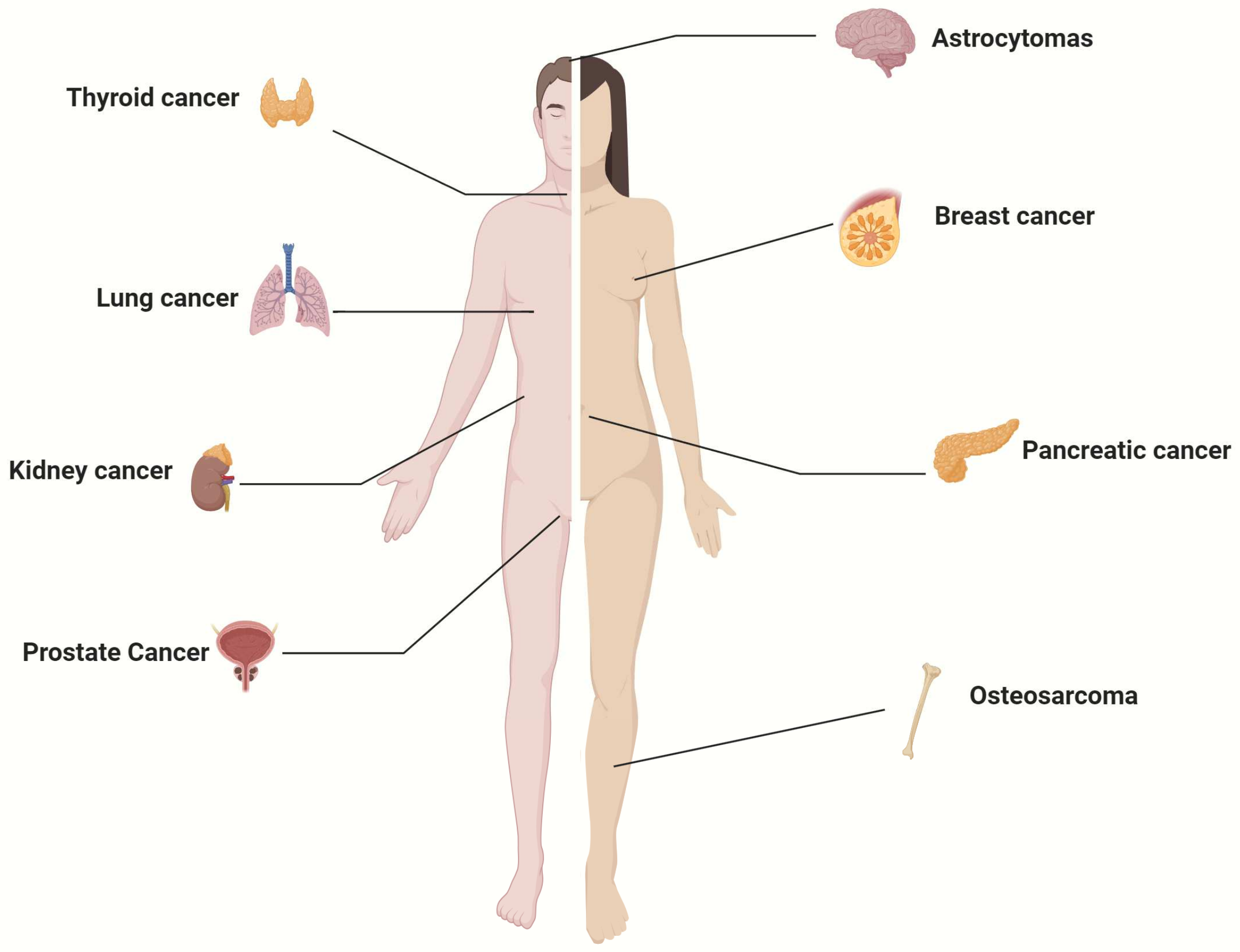 Cancers 17 00466 g001