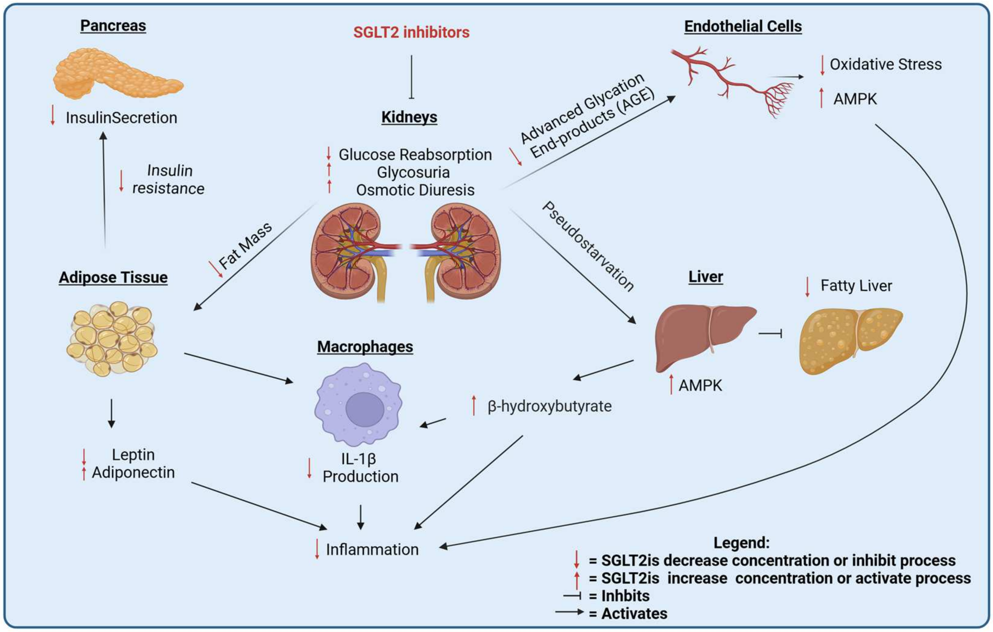 Cancers 17 00466 g003