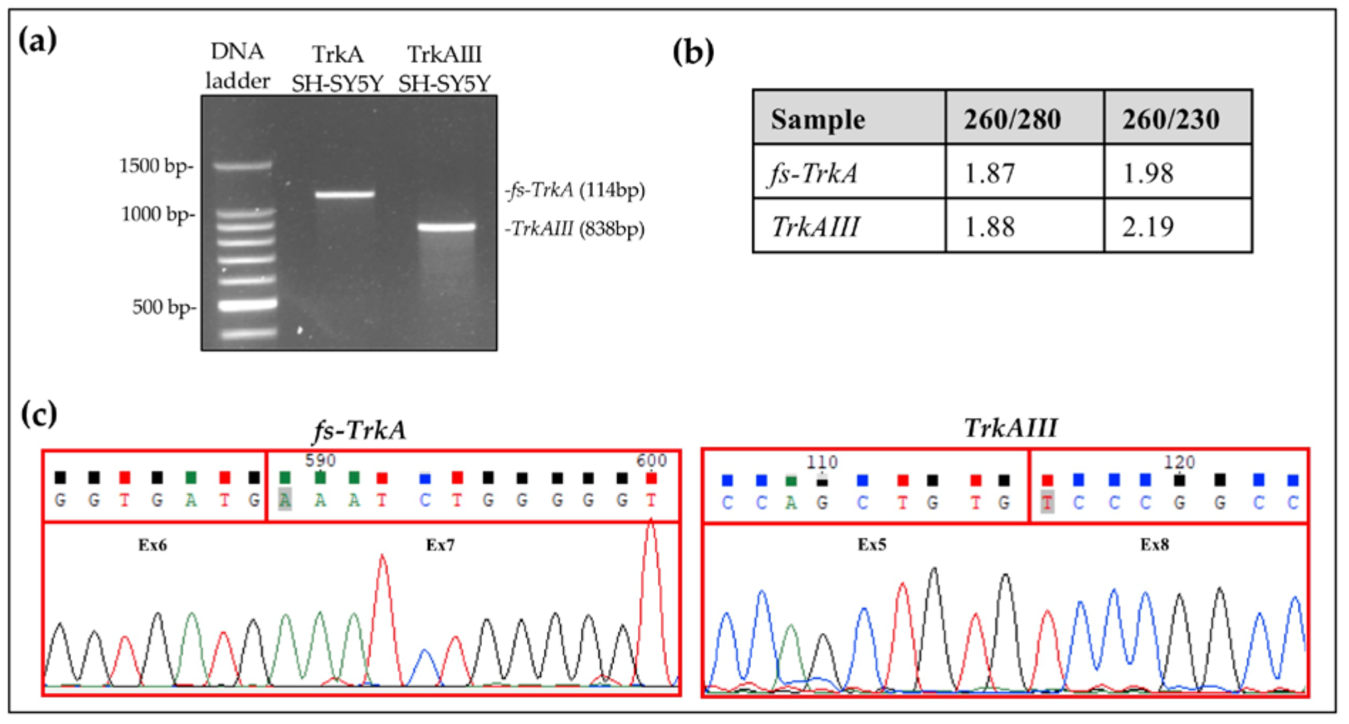 Cancers 17 00471 g001