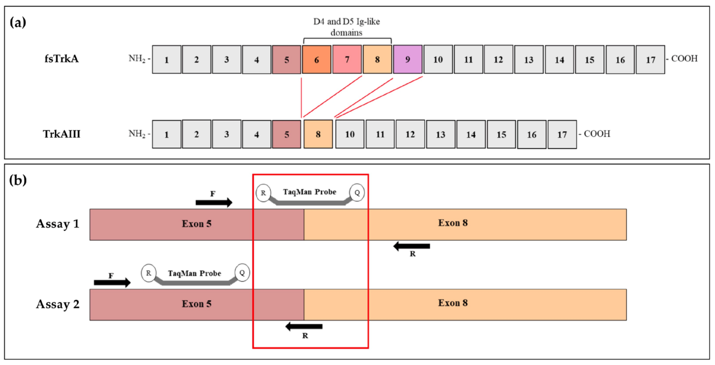 Cancers 17 00471 g002