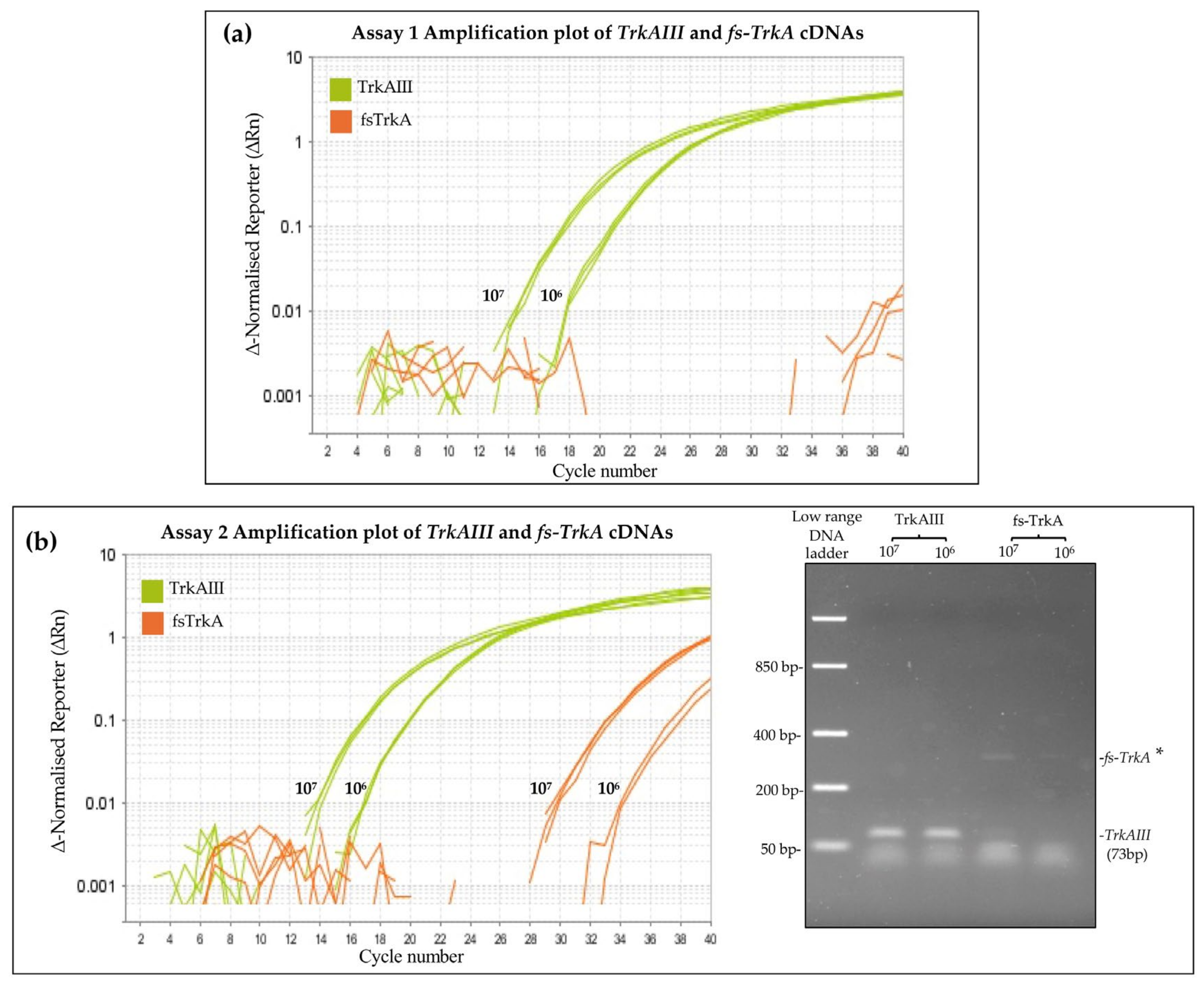 Cancers 17 00471 g004
