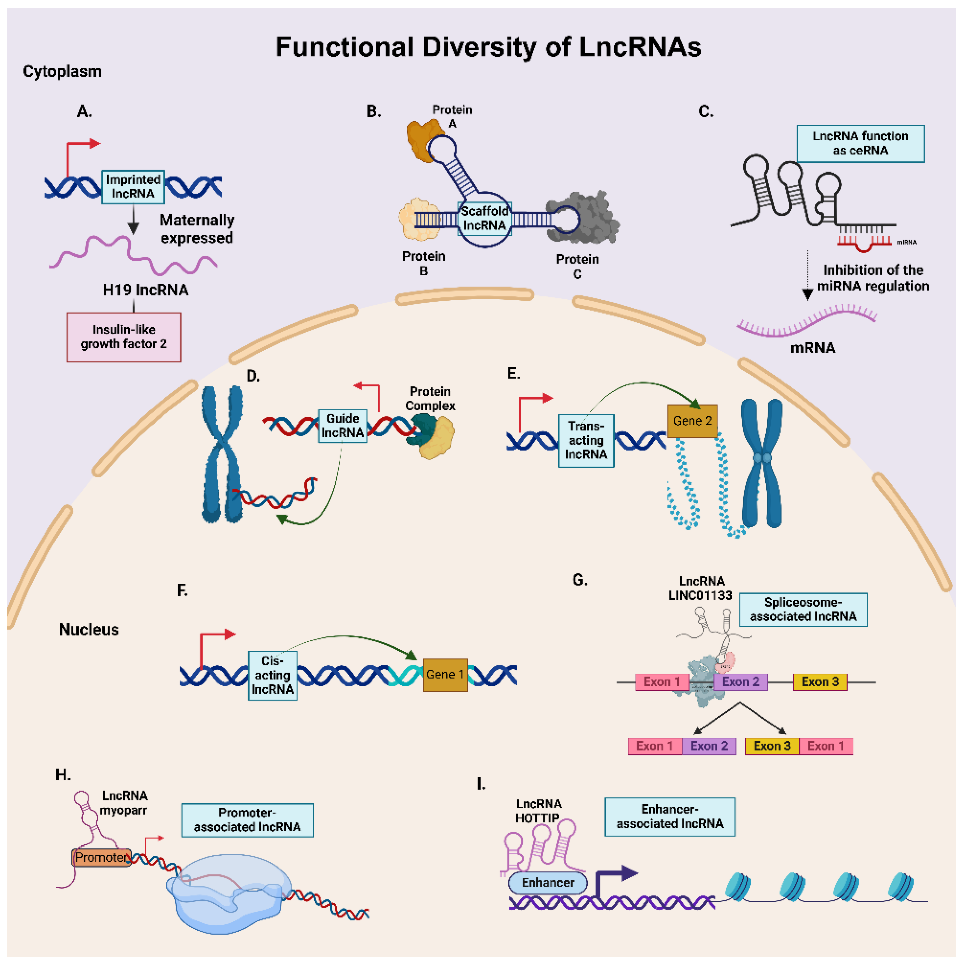 Cancers 17 00472 g004
