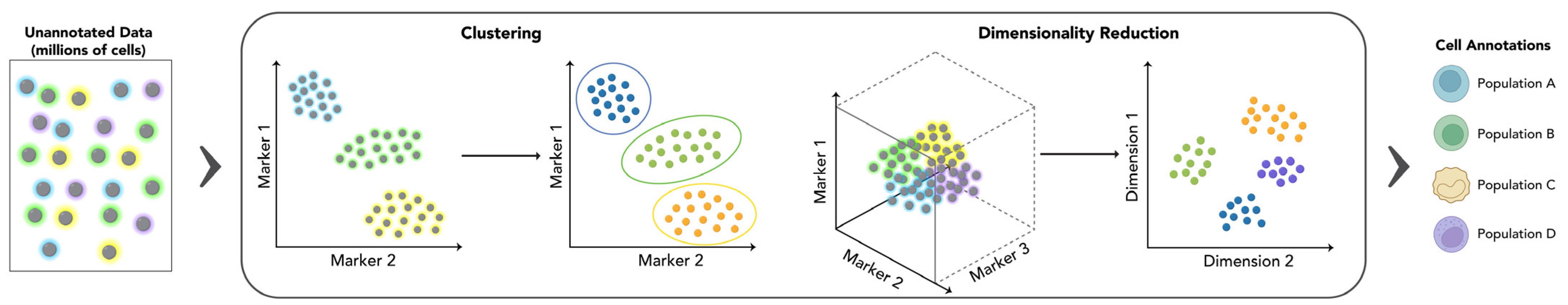 Cancers 17 00483 g002
