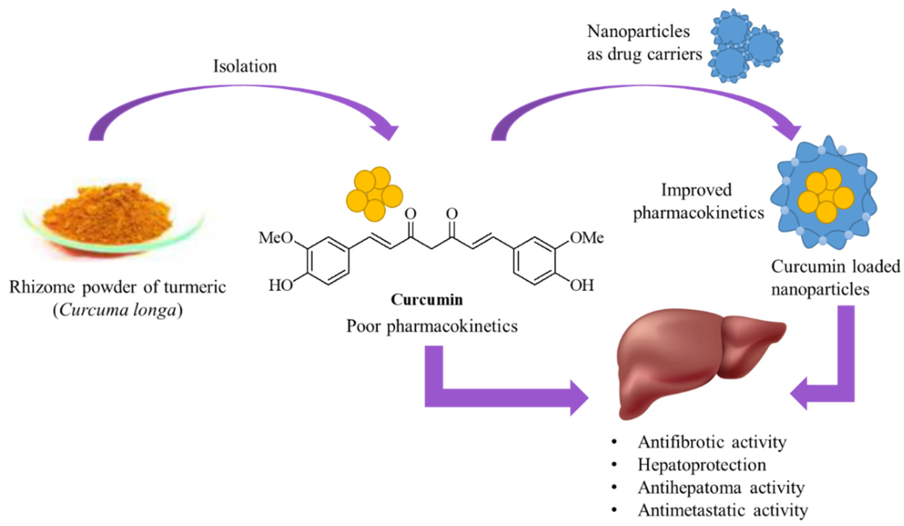 Cancers 17 00484 g001