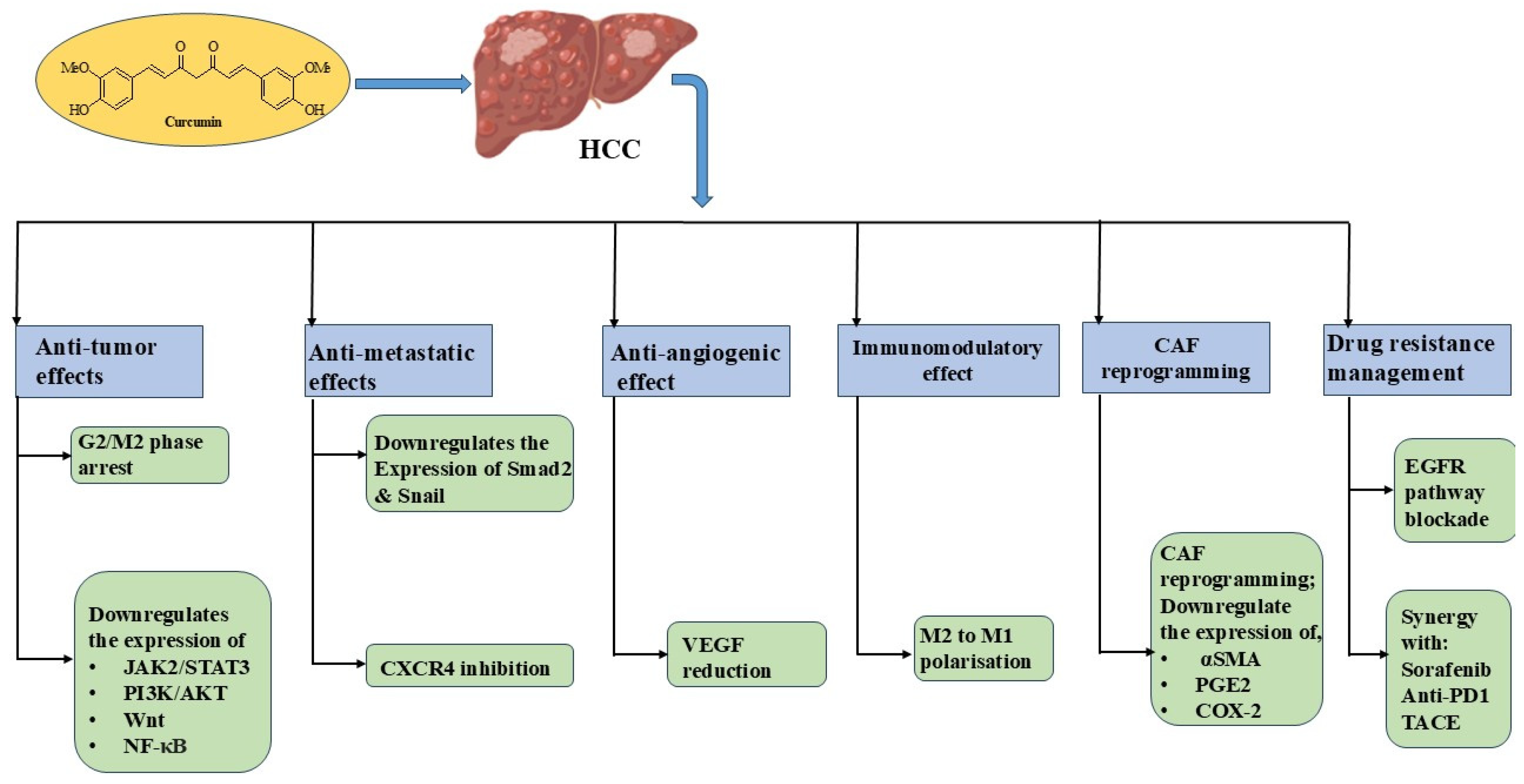 Cancers 17 00484 g002