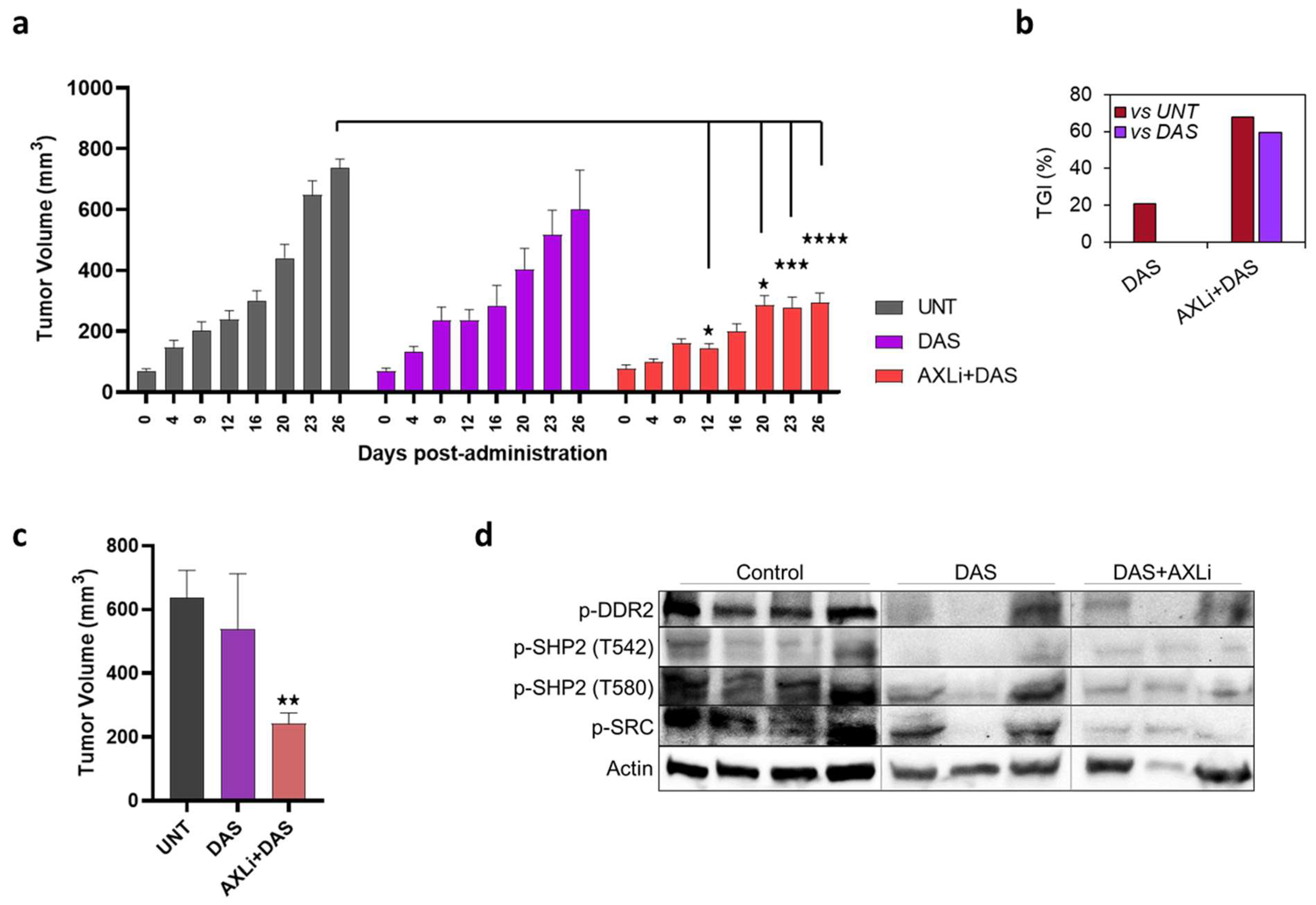 Cancers 17 00490 g005