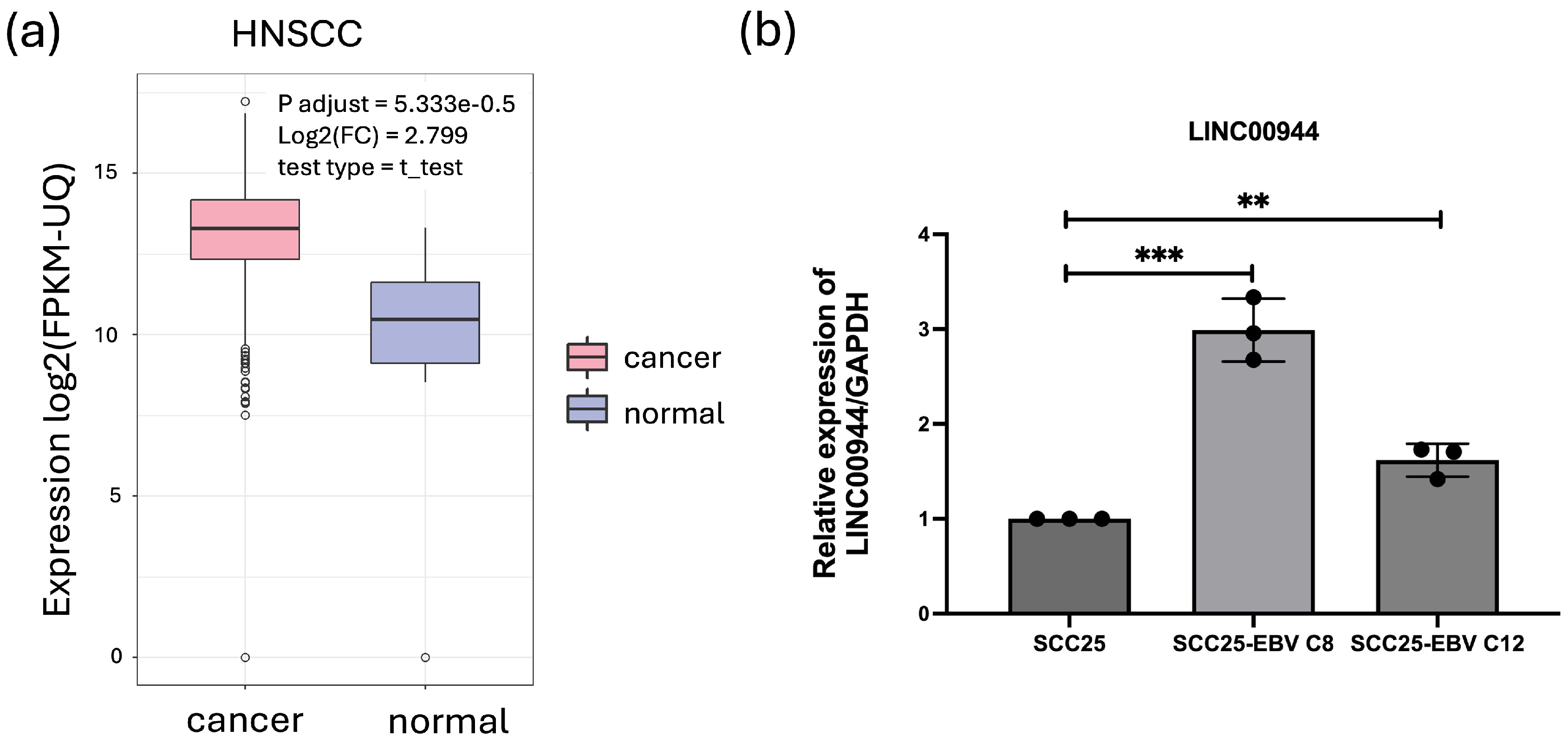 Cancers 17 00491 g001