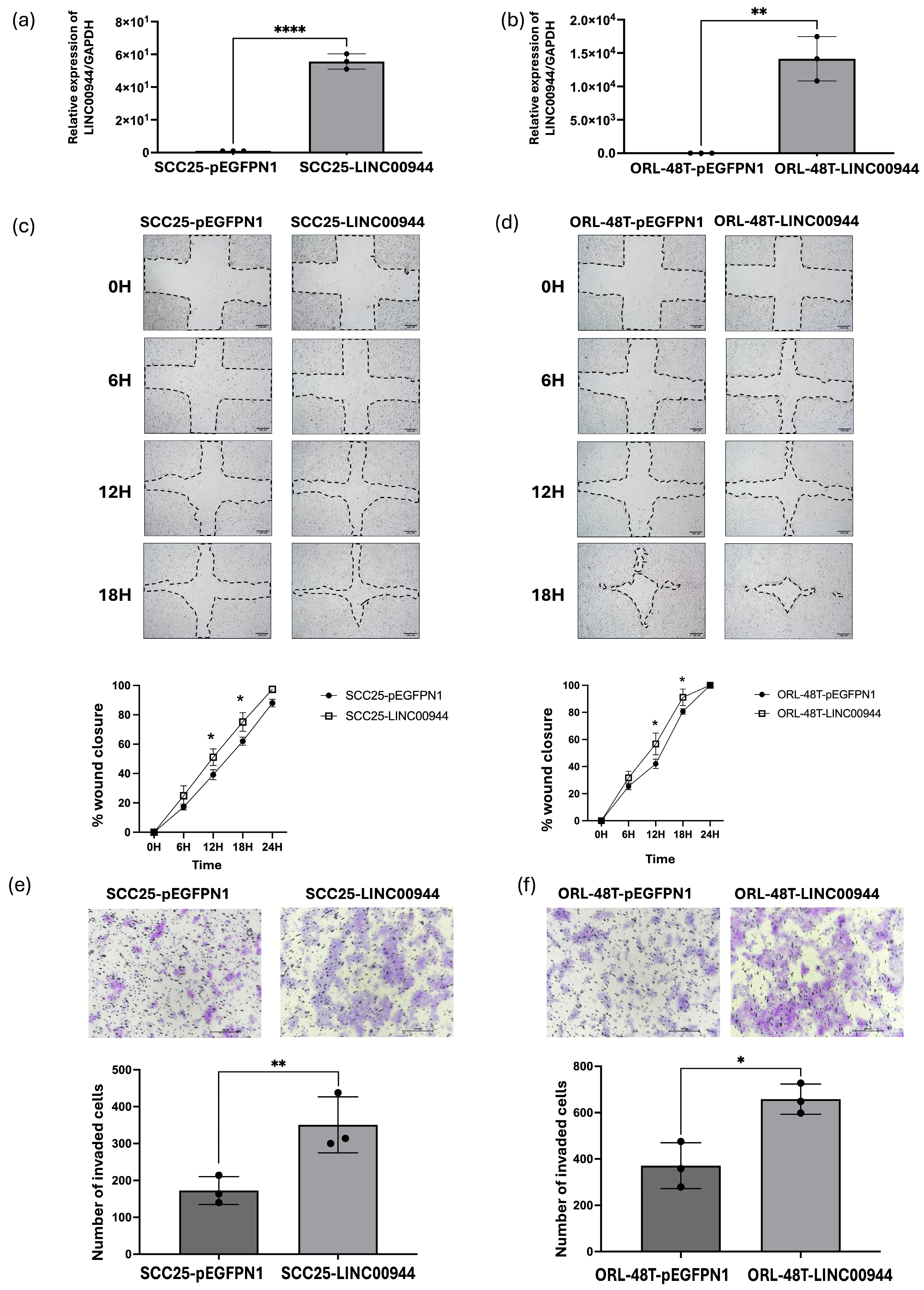 Cancers 17 00491 g002