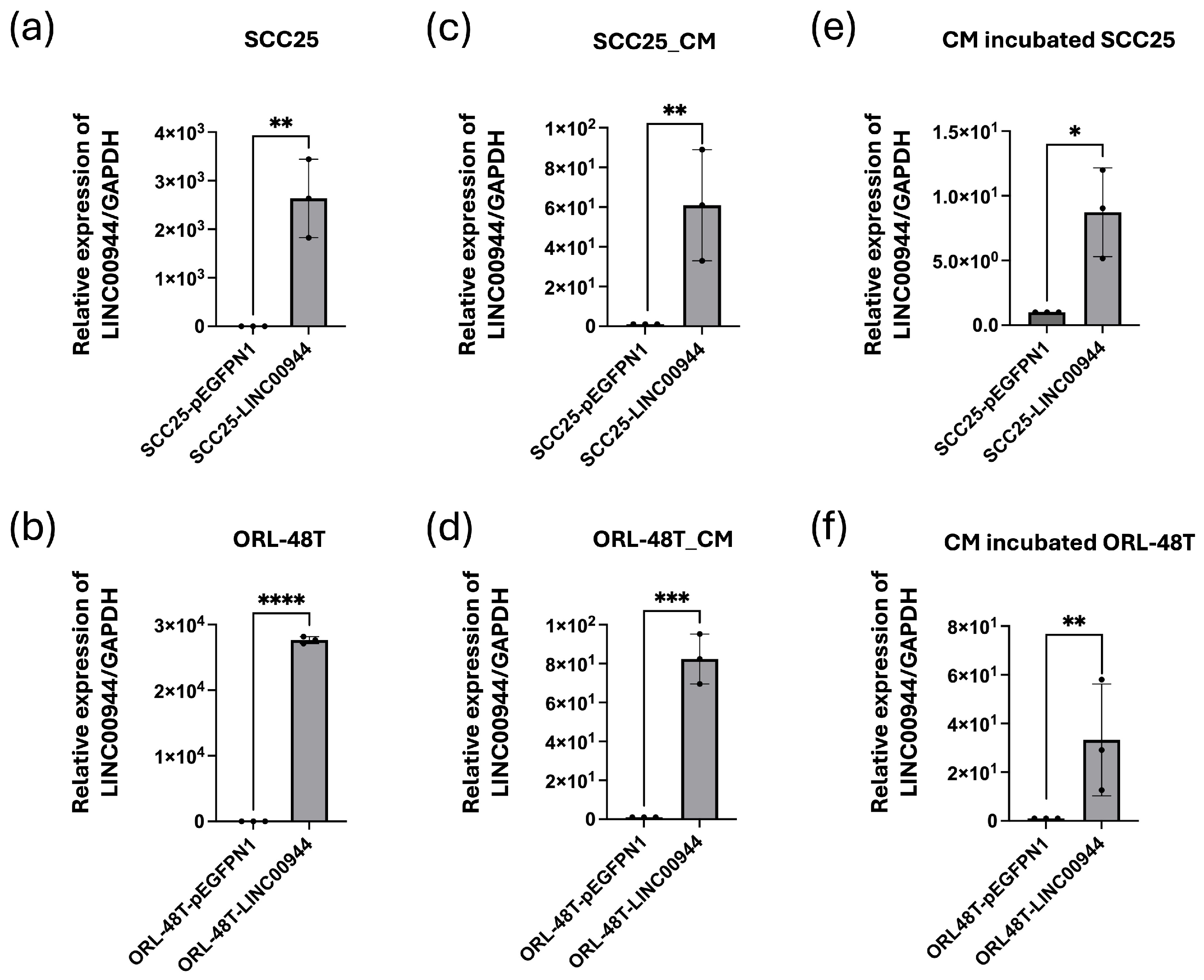 Cancers 17 00491 g003