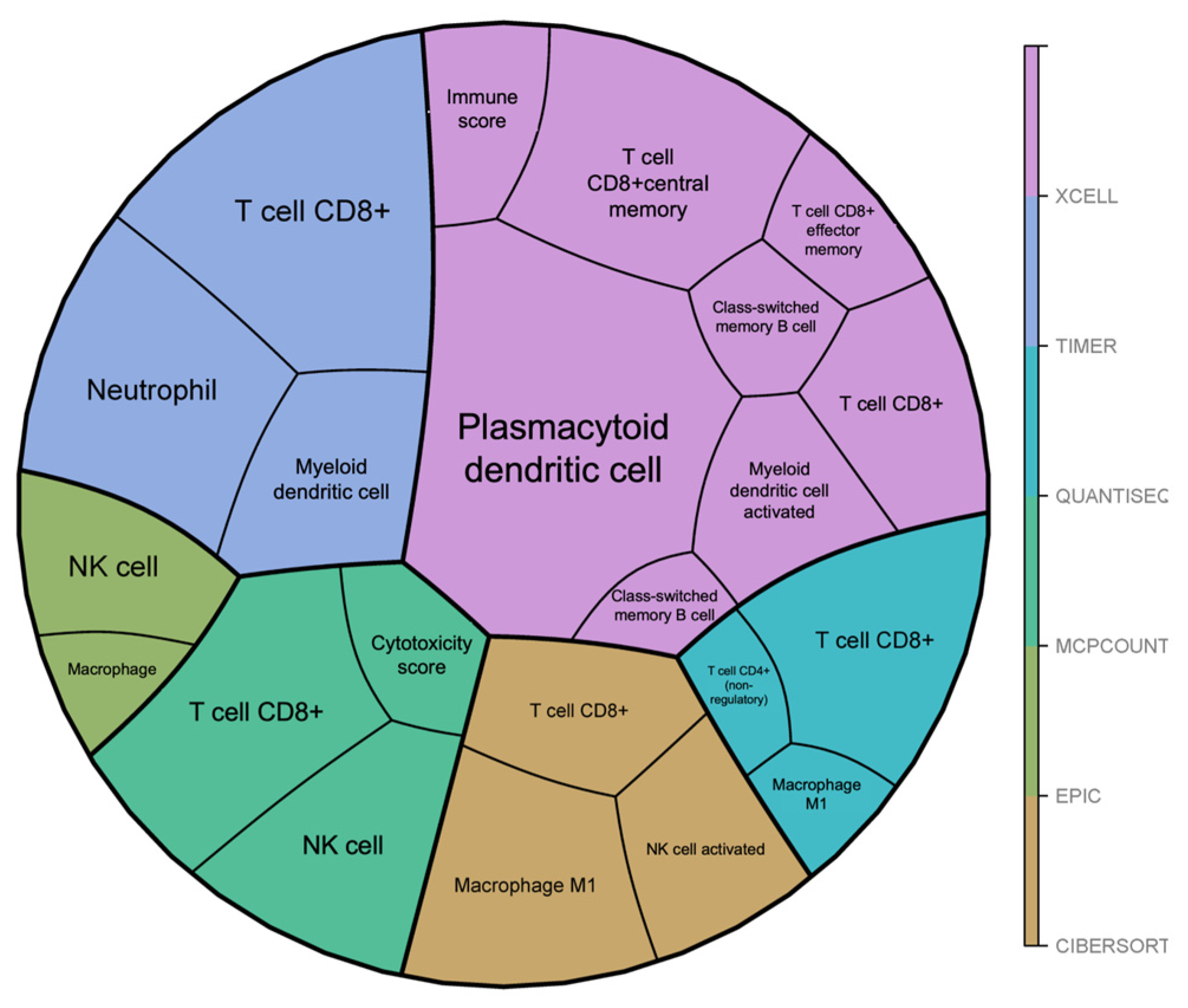 Cancers 17 00491 g004