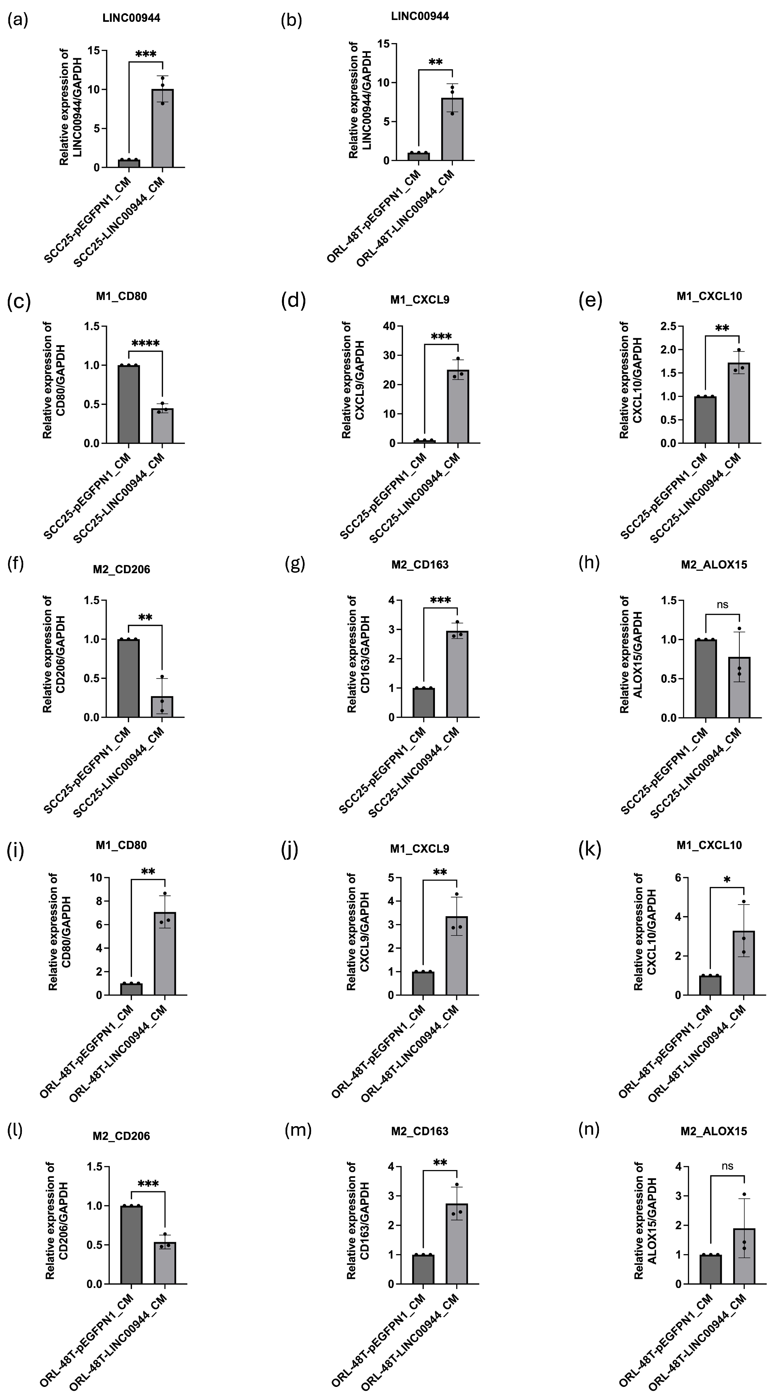 Cancers 17 00491 g005