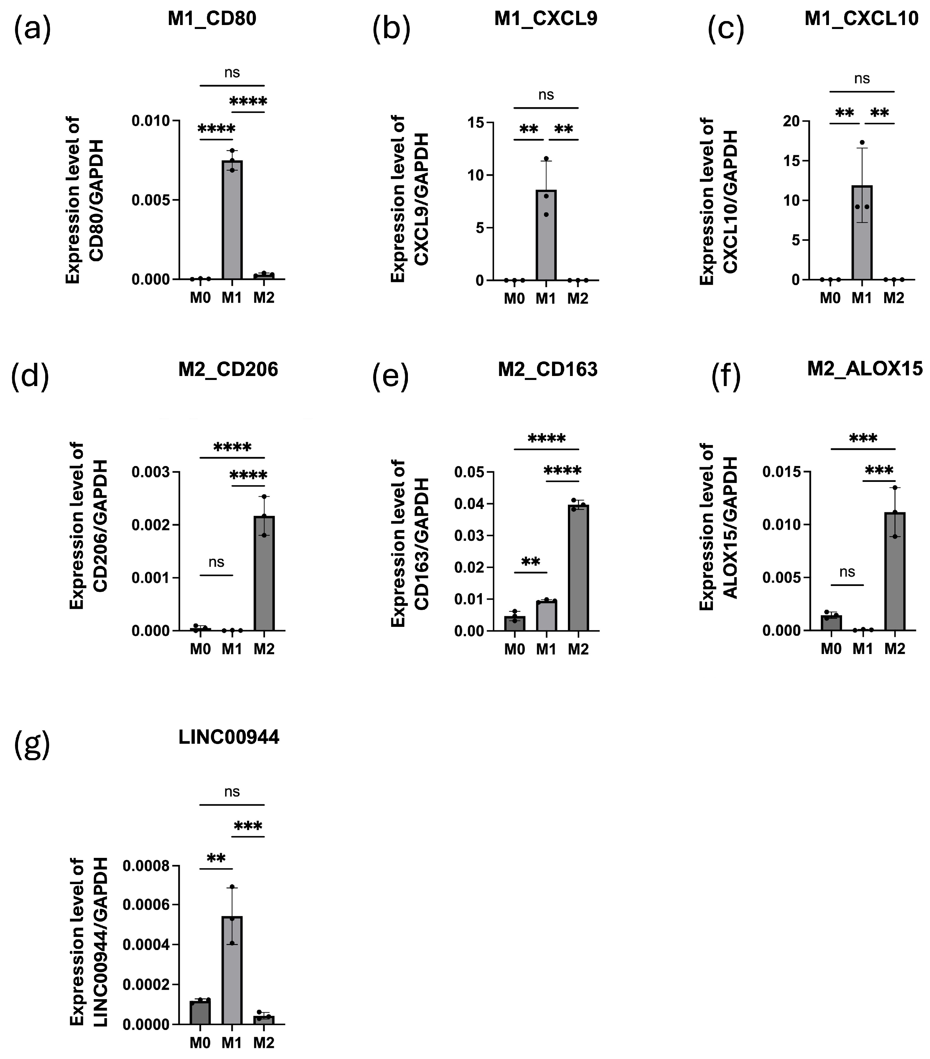 Cancers 17 00491 g006