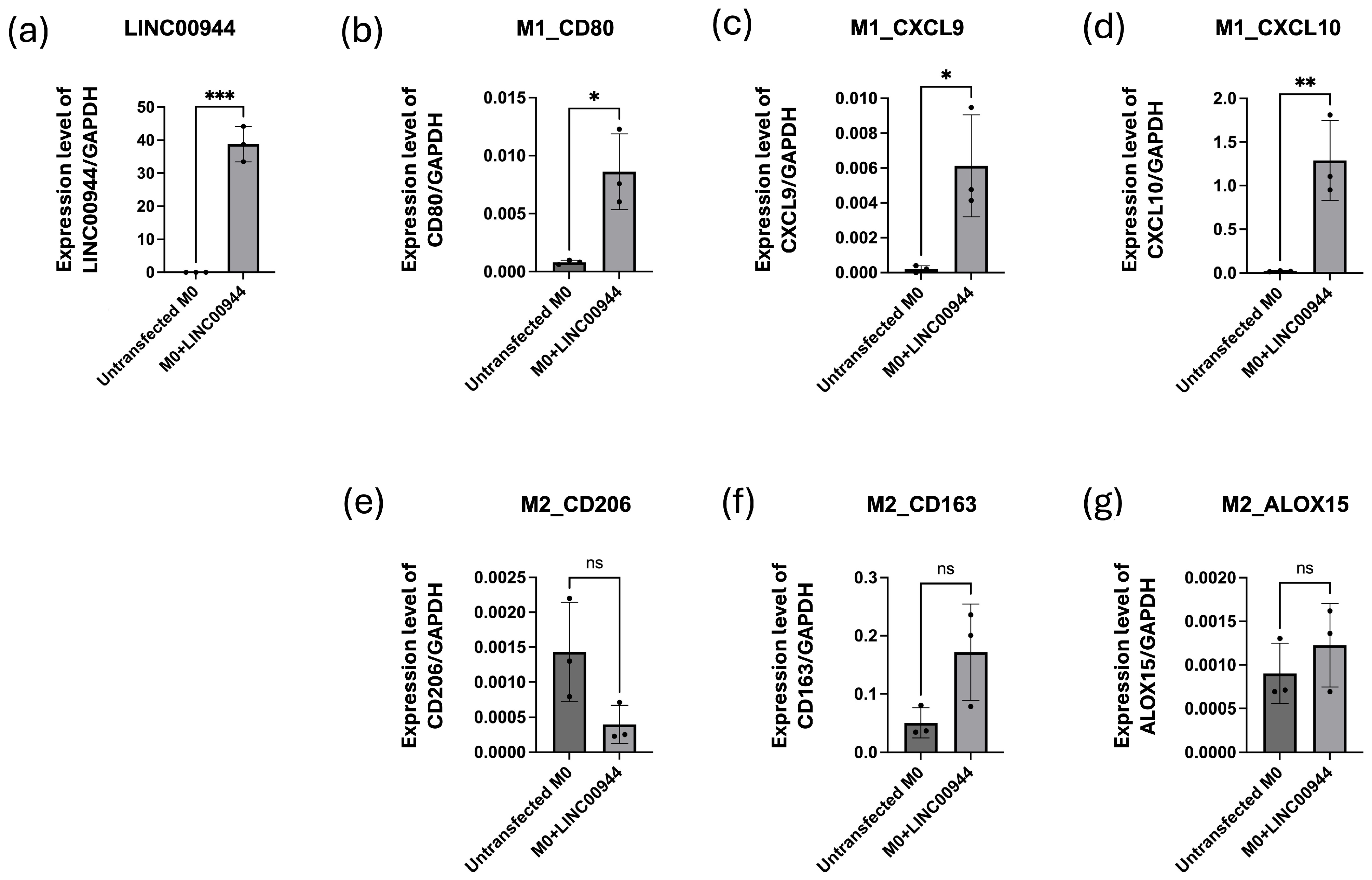 Cancers 17 00491 g007