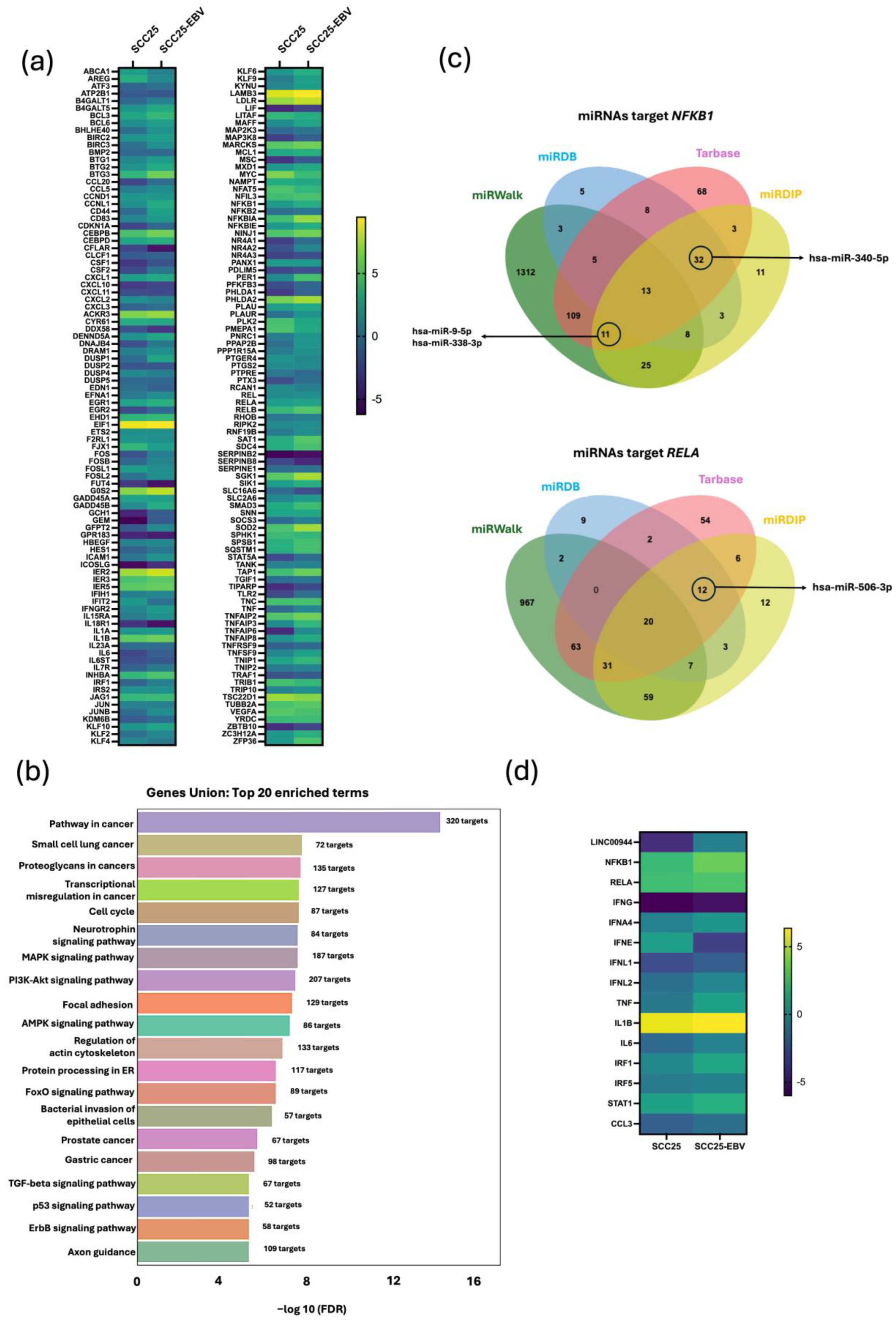 Cancers 17 00491 g008