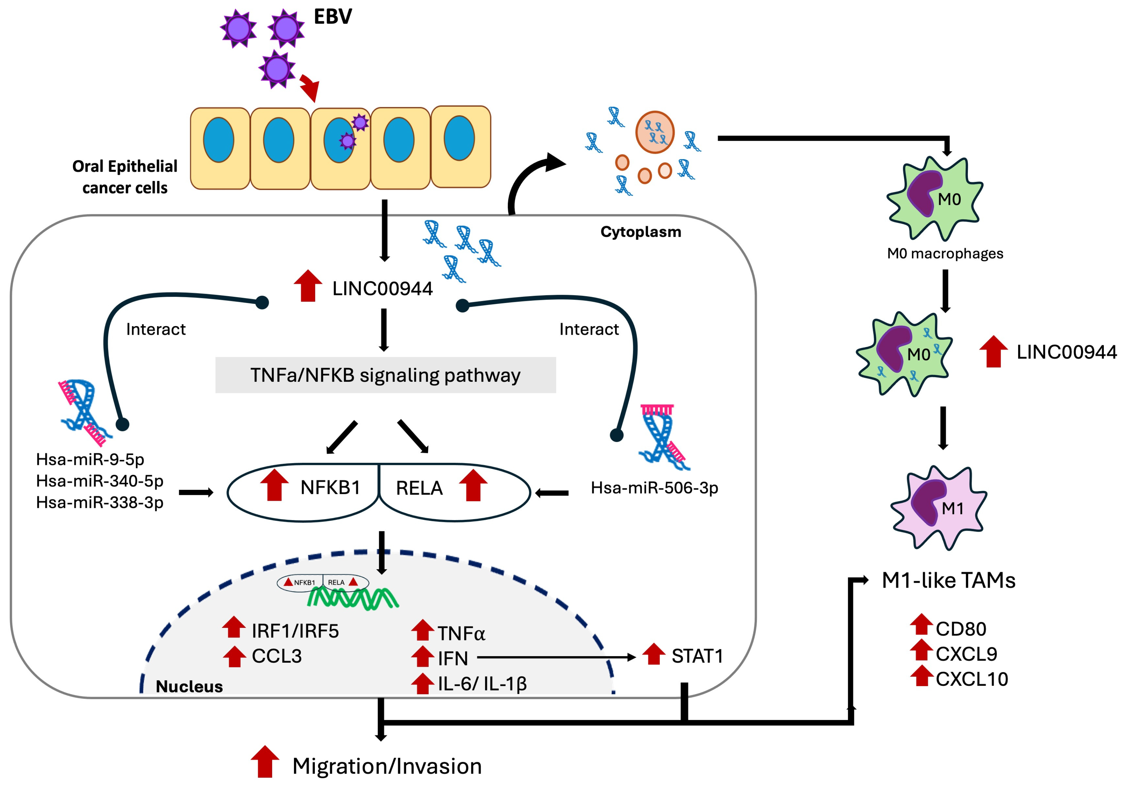 Cancers 17 00491 g009