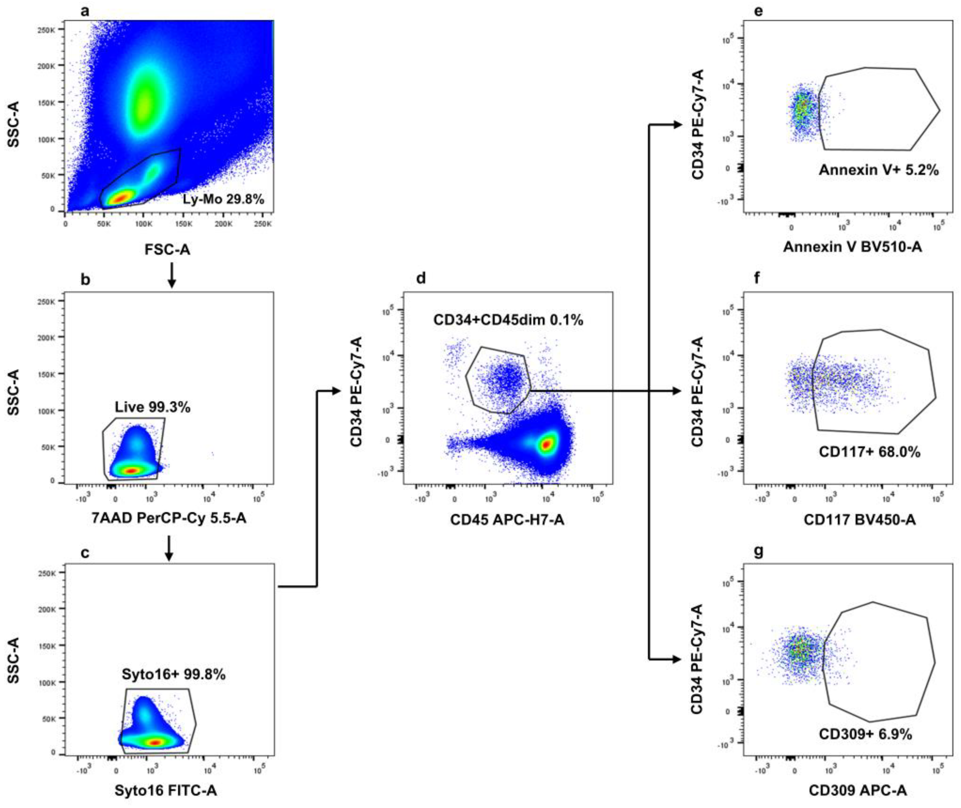 Cancers 17 00499 g002 Cancers 17 00499 g002