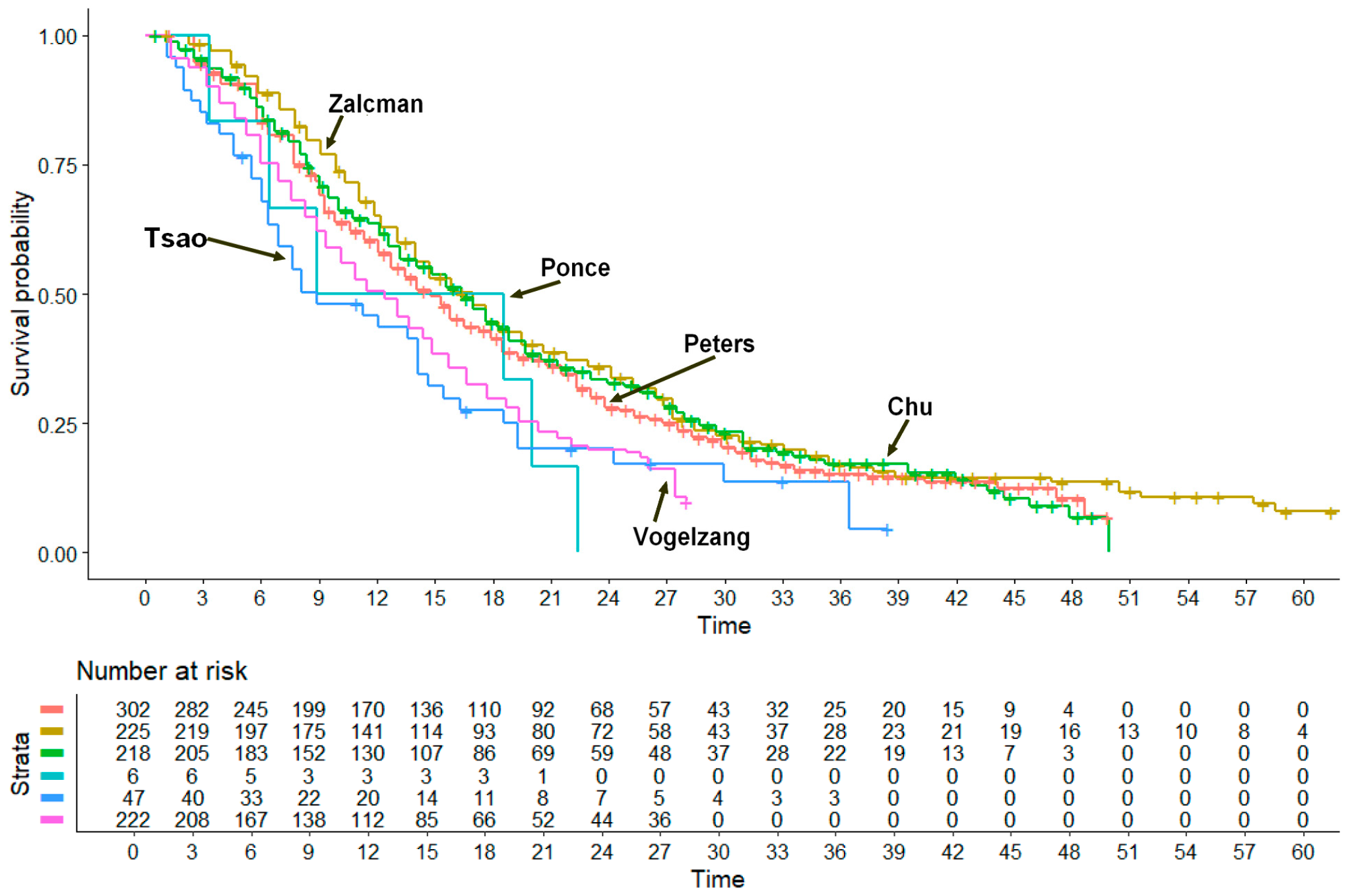 Cancers 17 00503 g002