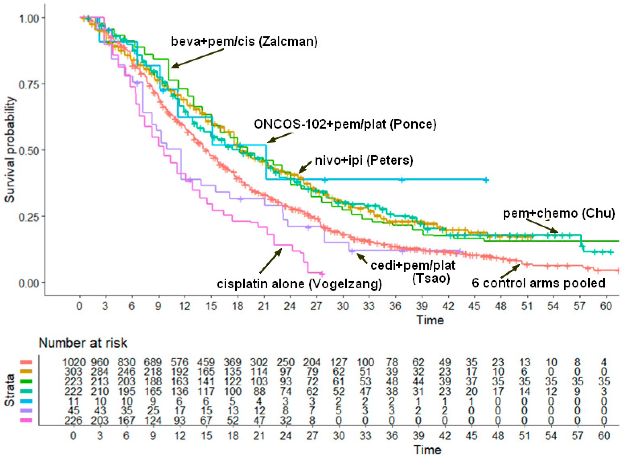 Cancers 17 00503 g003