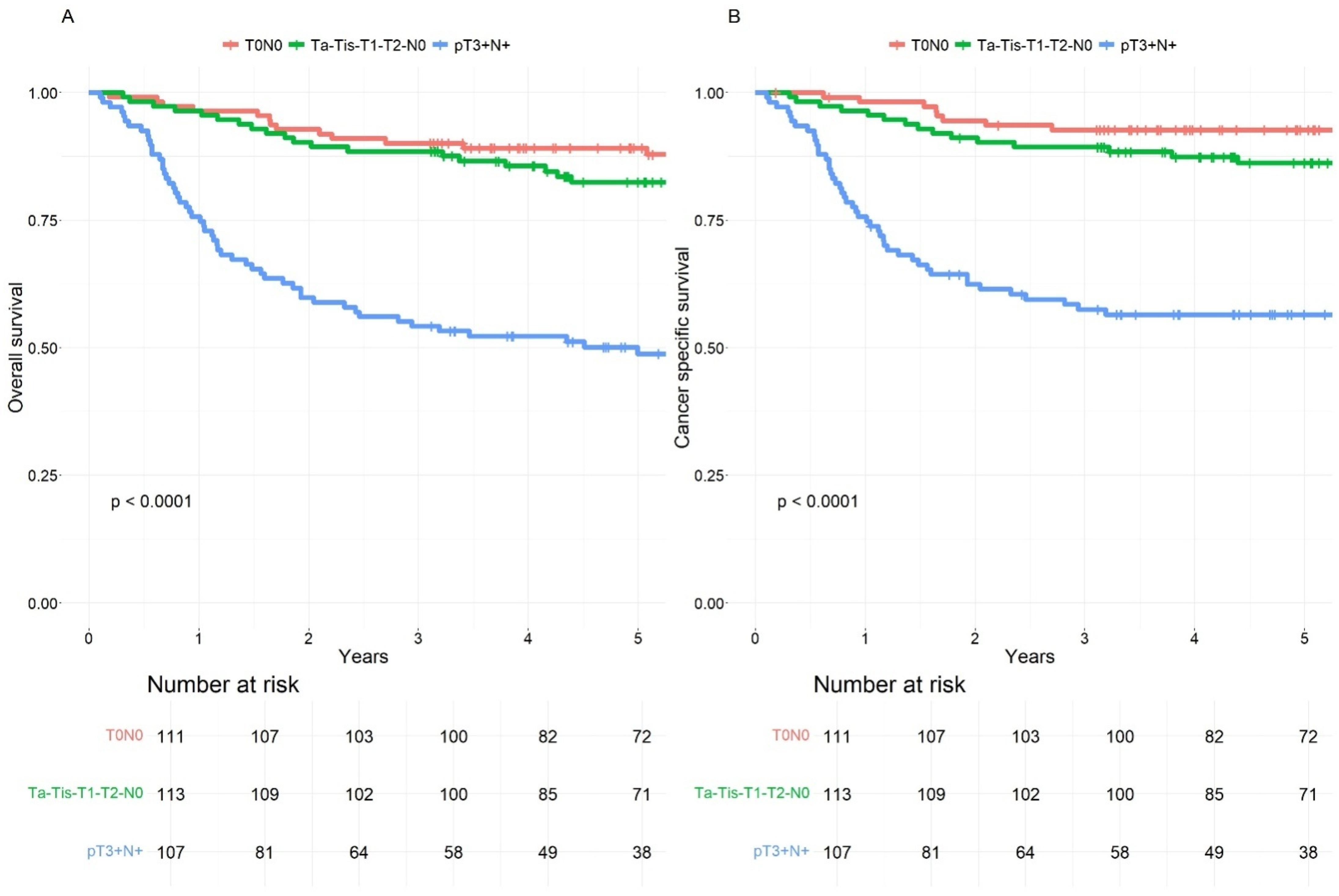 Cancers 17 00505 g002