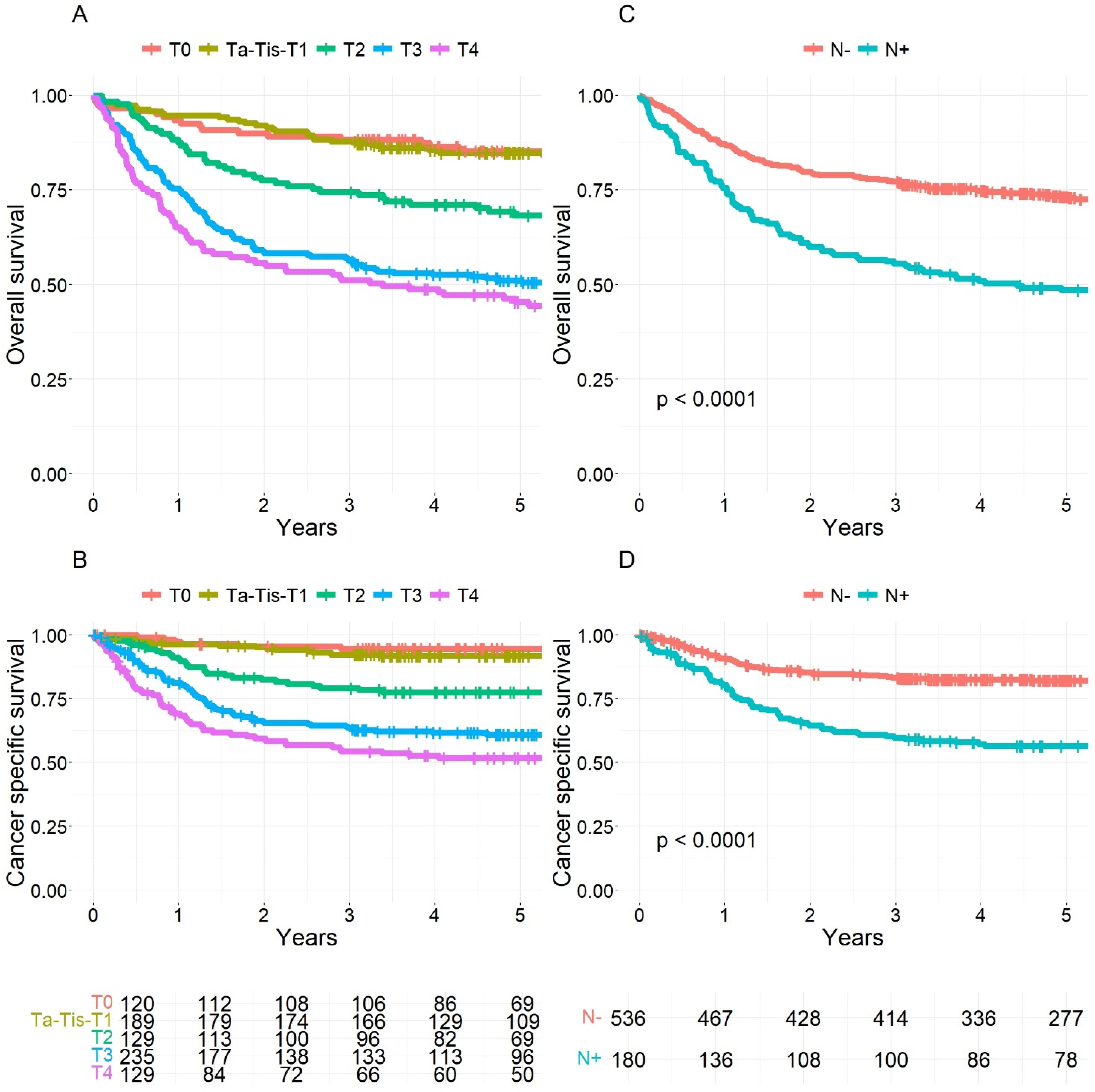 Cancers 17 00505 g0a2