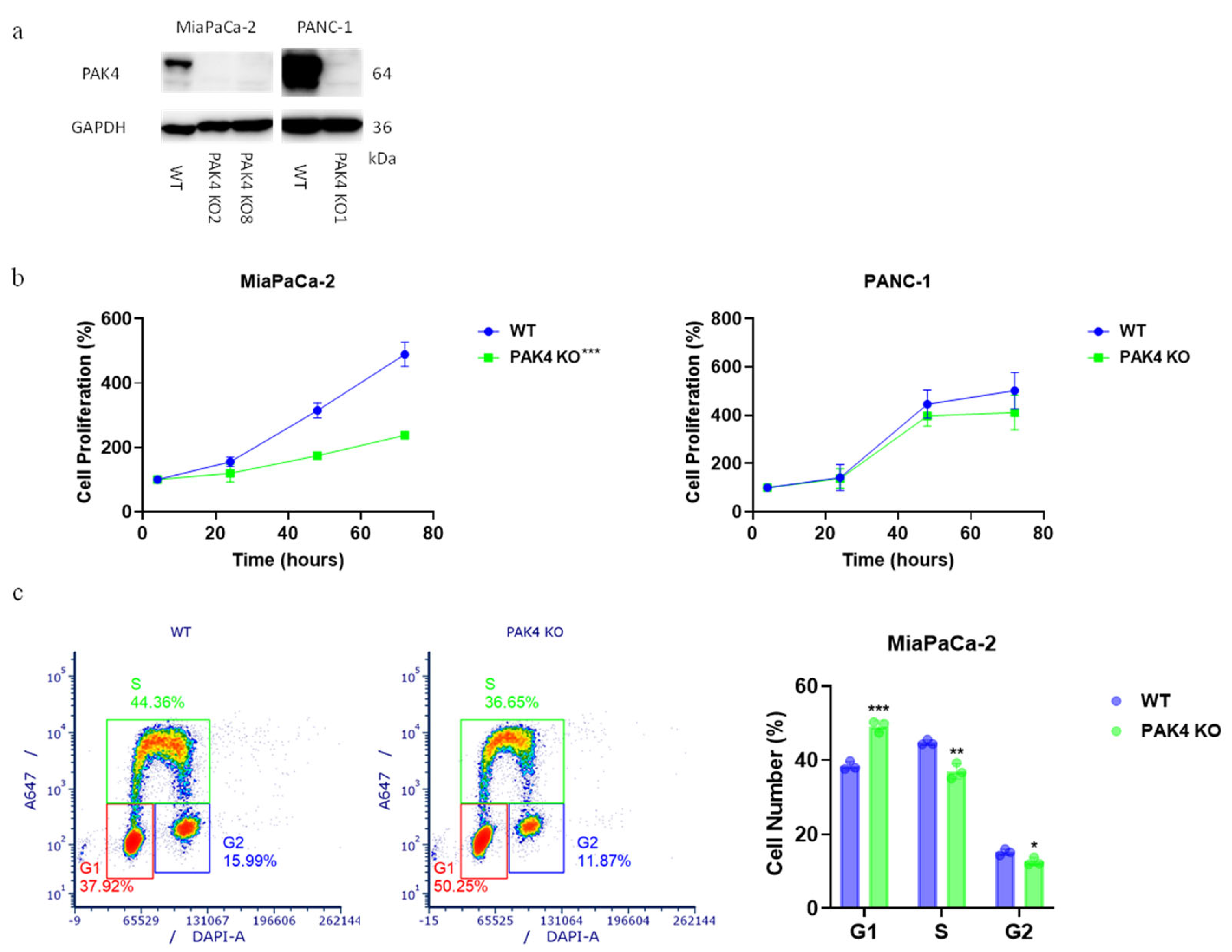 Cancers 17 00511 g001