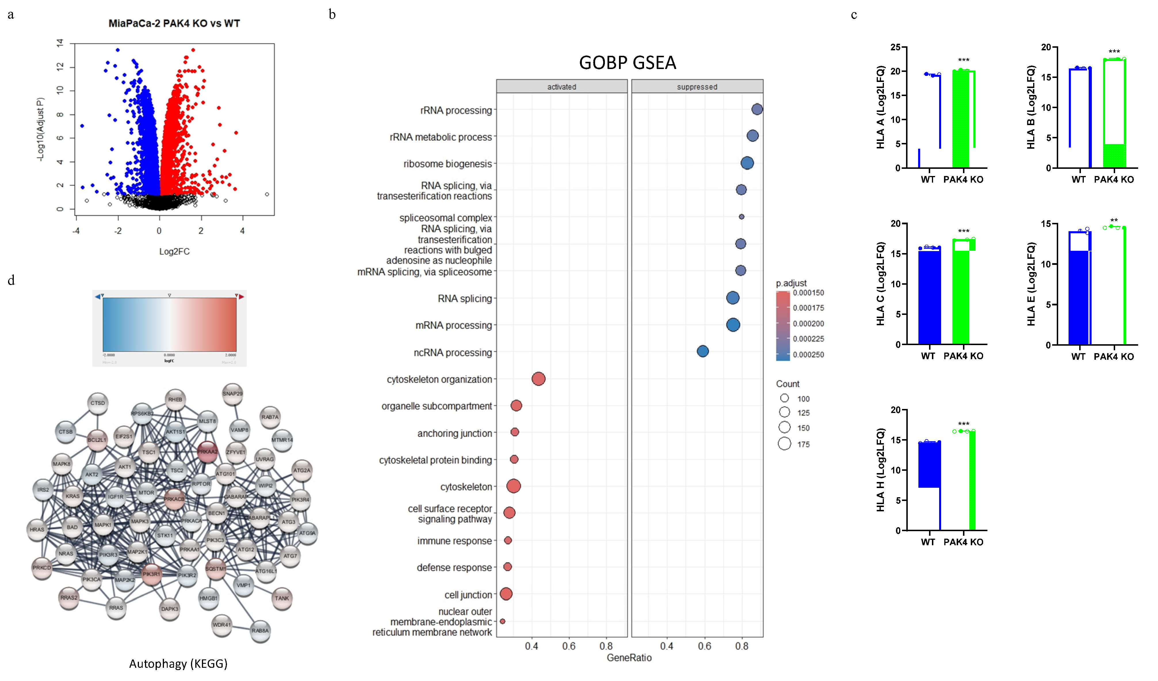 Cancers 17 00511 g002