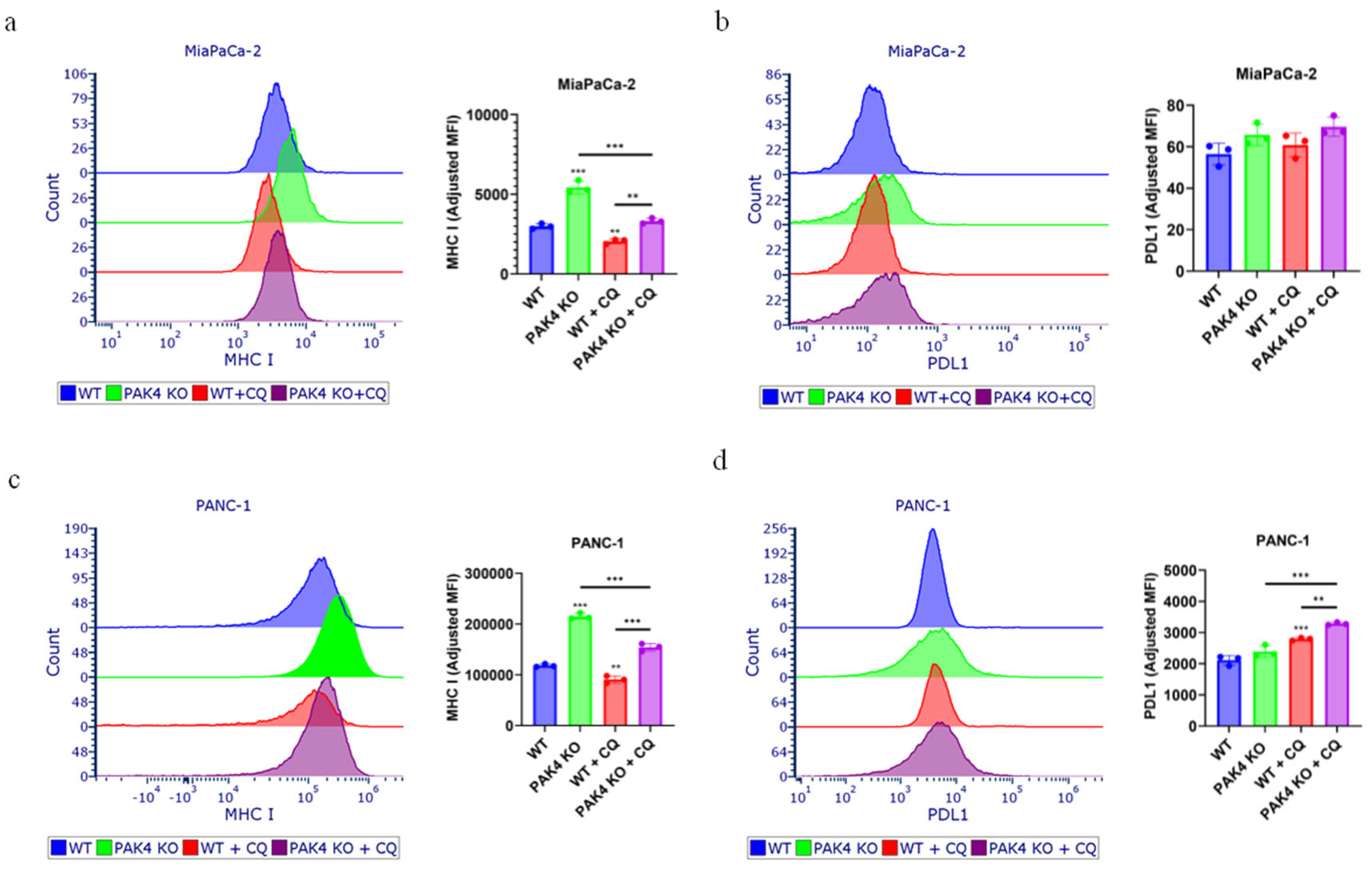 Cancers 17 00511 g006