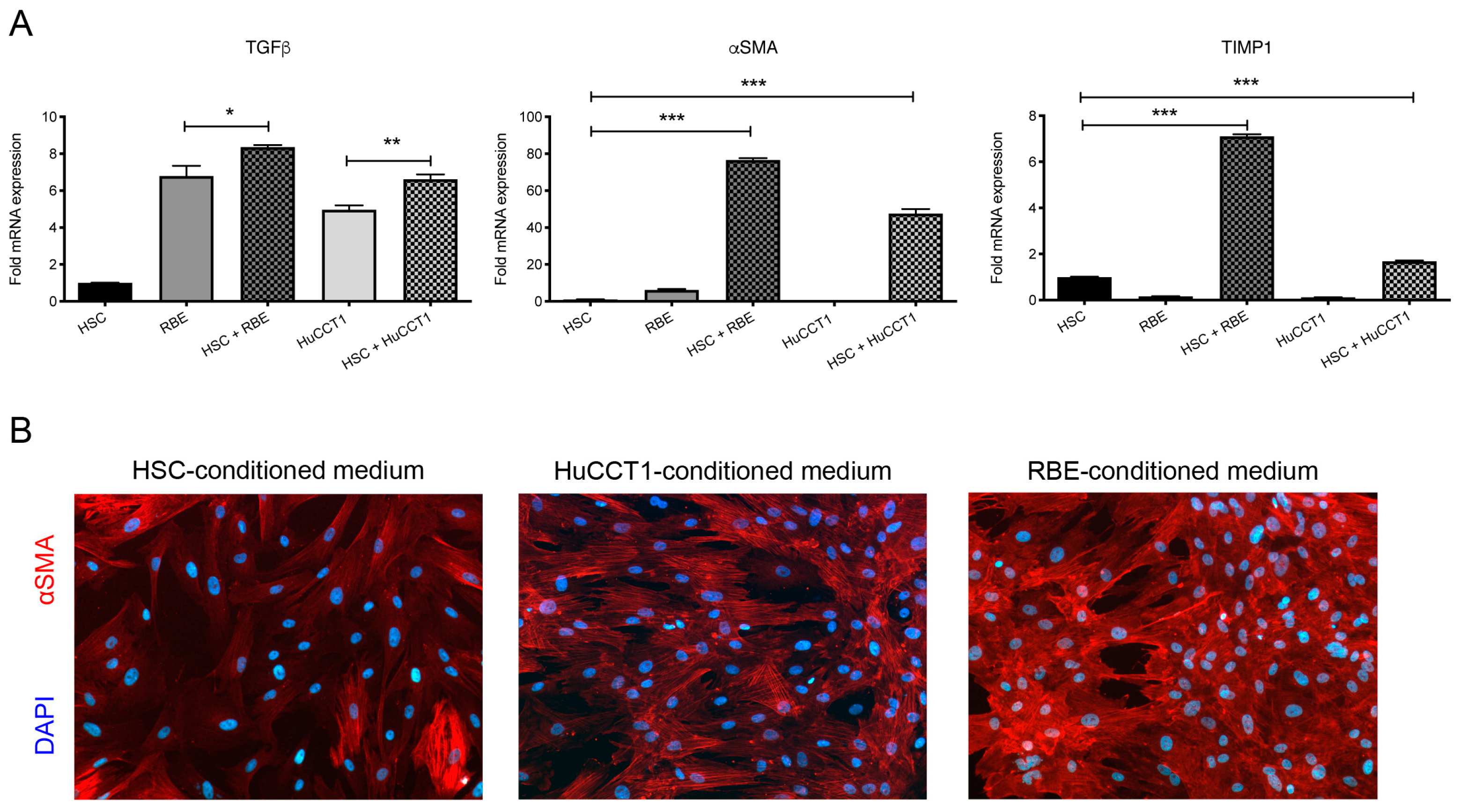 Cancers 17 00514 g001 Cancers 17 00514 g001