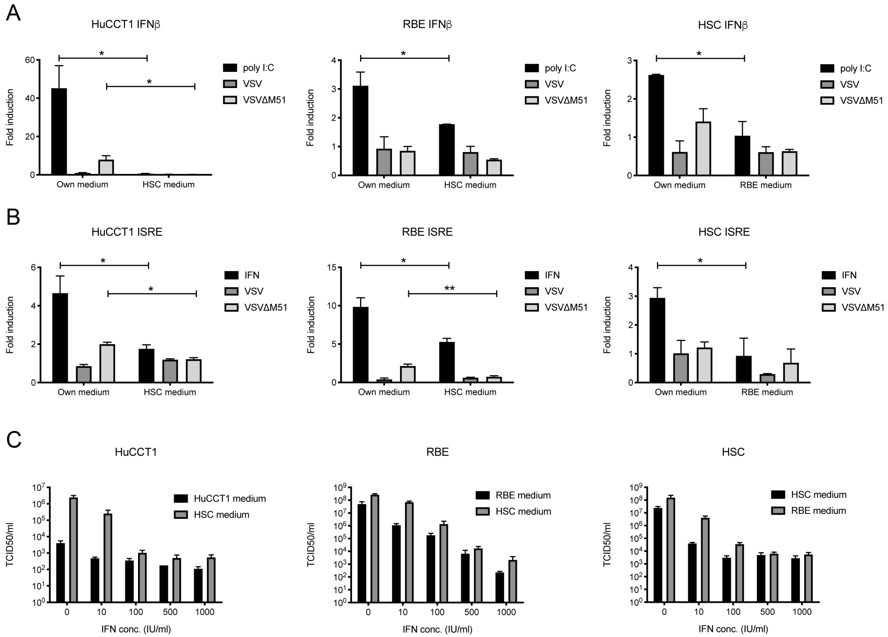 Cancers 17 00514 g004 Cancers 17 00514 g004