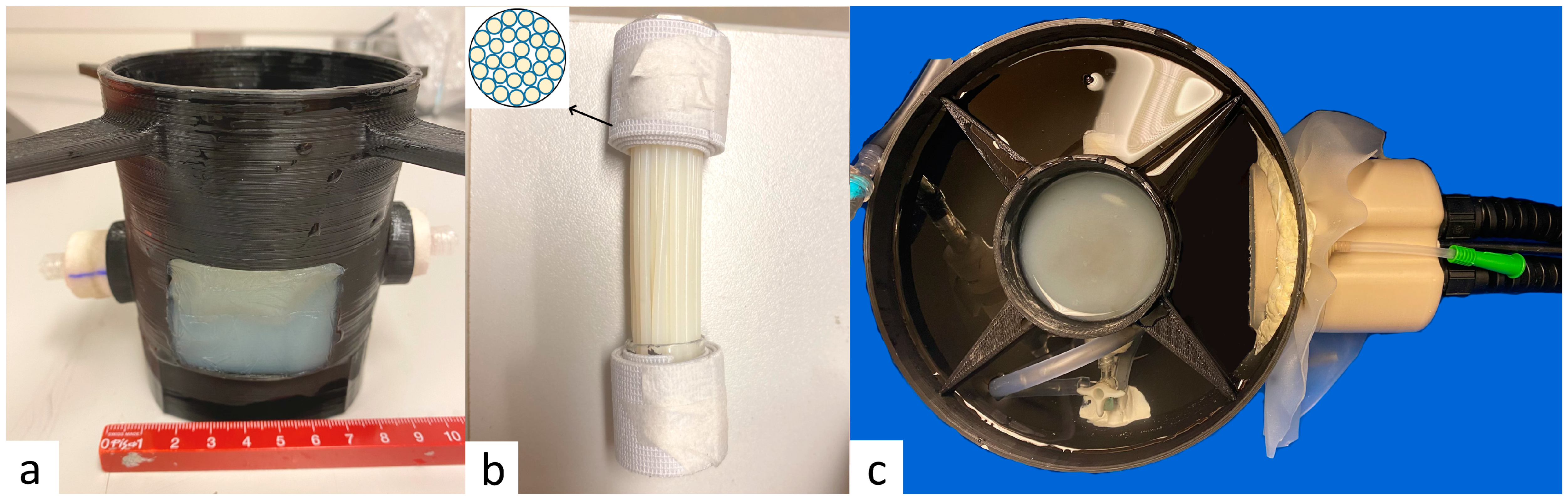 Cancers 17 00515 g002