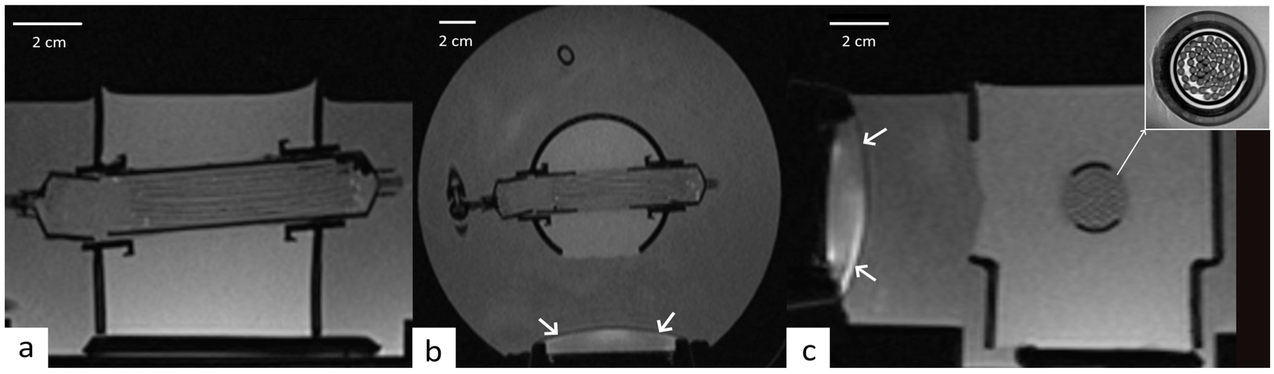 Cancers 17 00515 g003