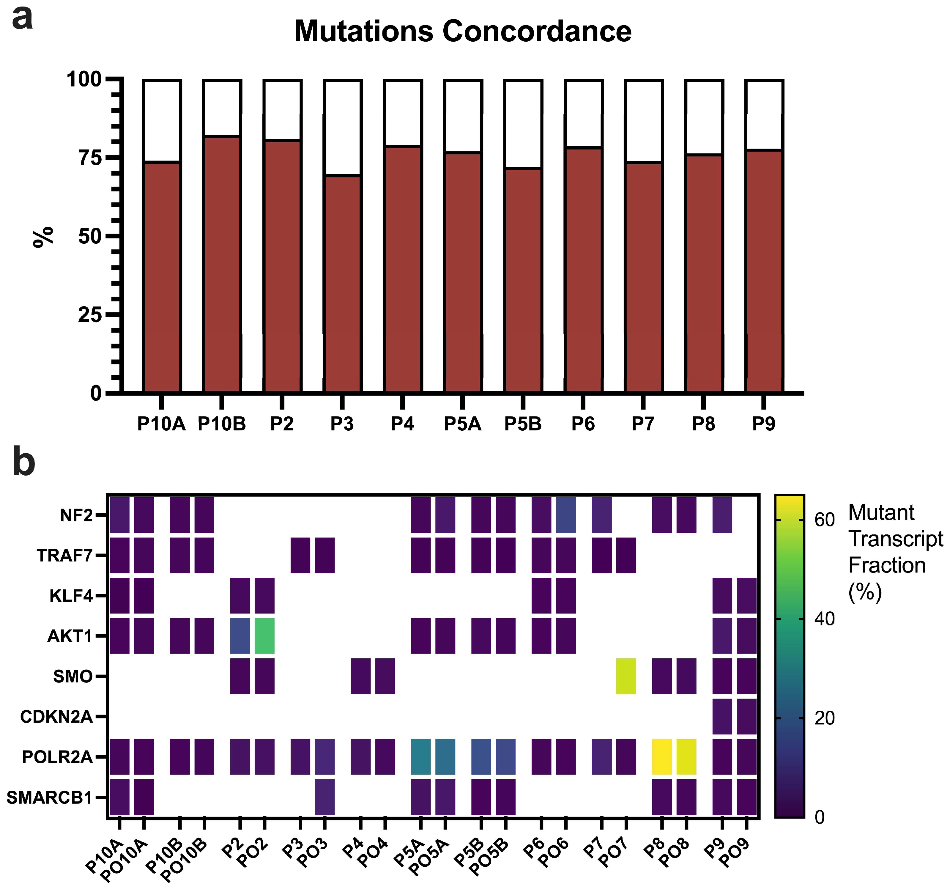 Cancers 17 00526 g005