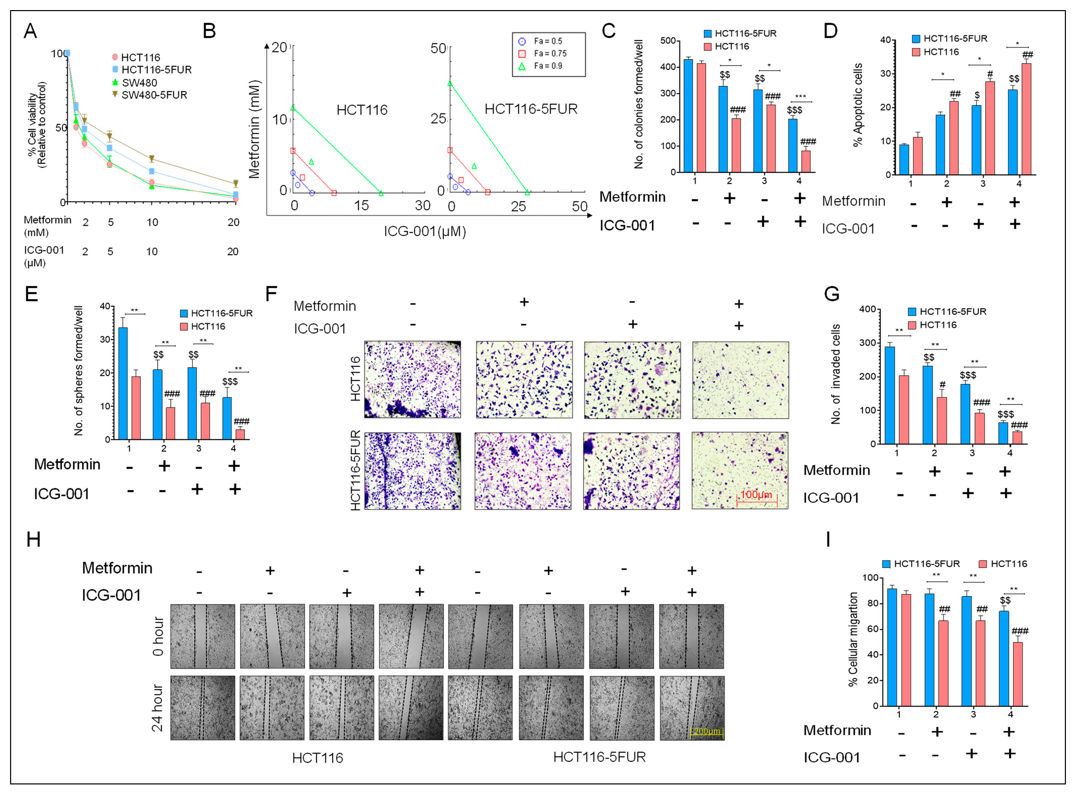 Cancers 17 00528 g004