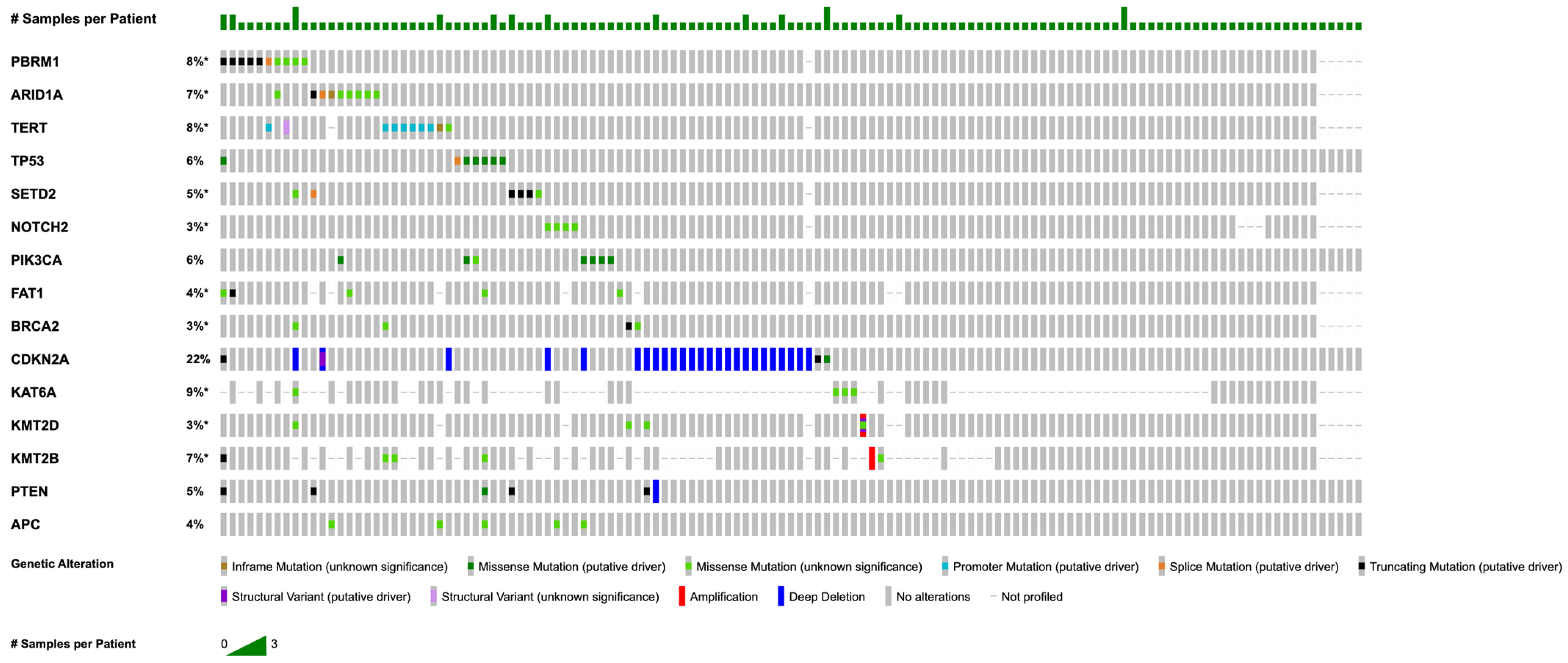 Cancers 17 00536 g001 Cancers 17 00536 g001