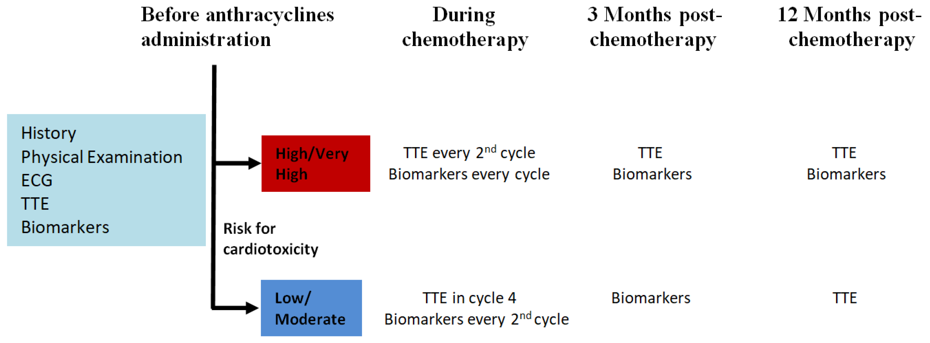 Cancers 17 00541 g004