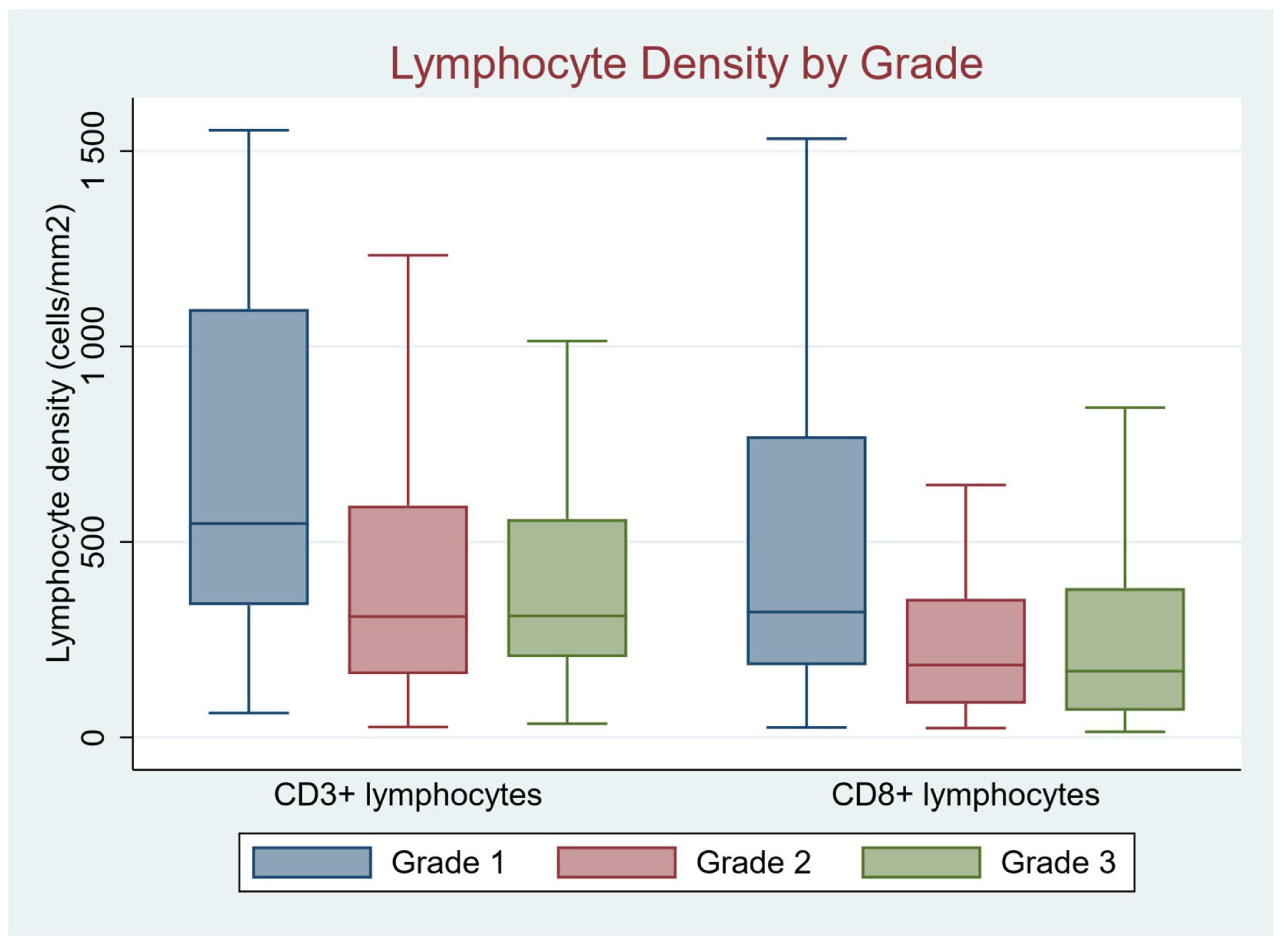 Cancers 17 00542 g004