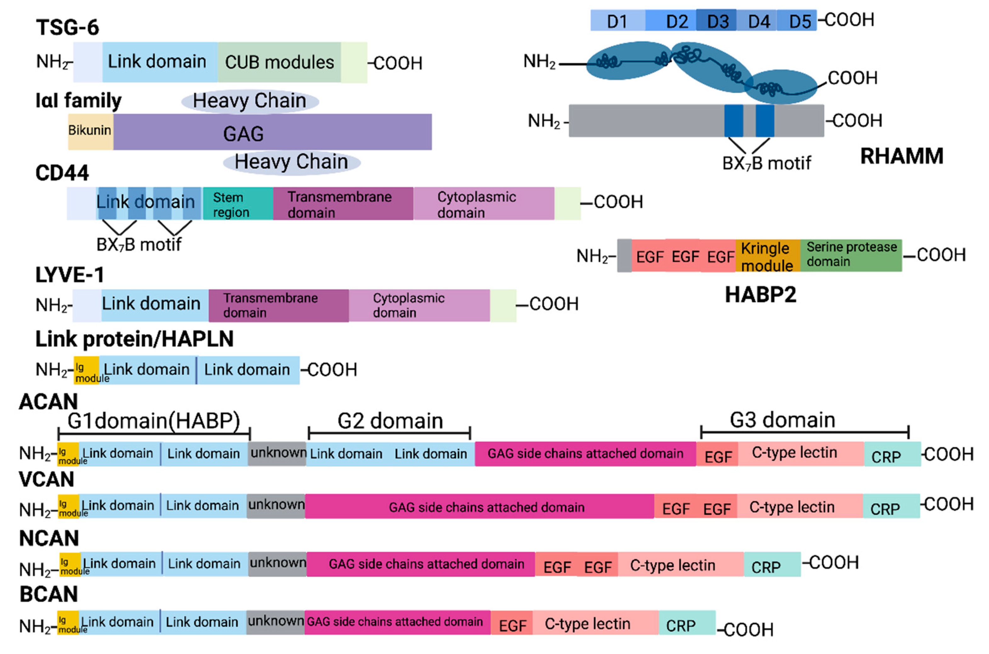 Cancers 17 00549 g002