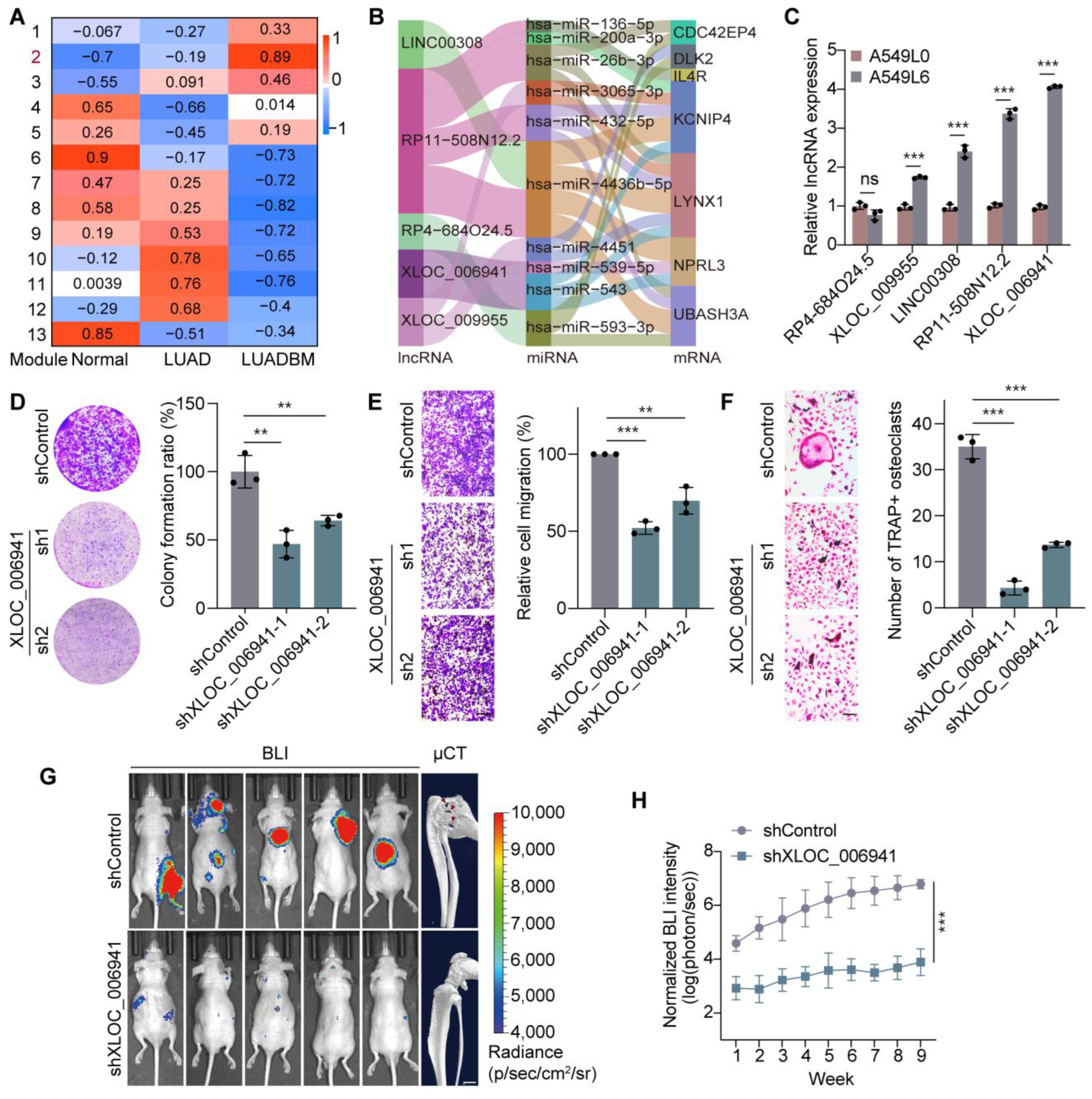 Cancers 17 00559 g001